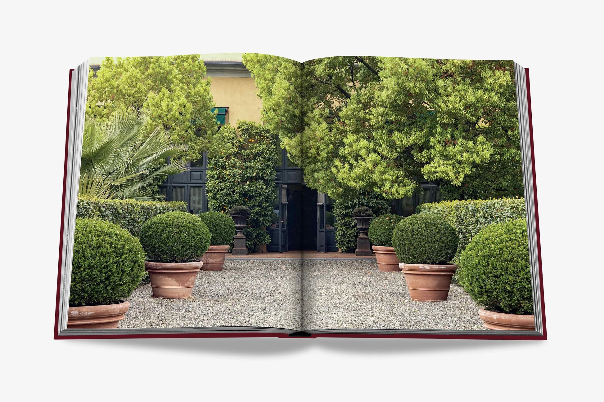 ASSOULINE Michele Bönan: Signature Details