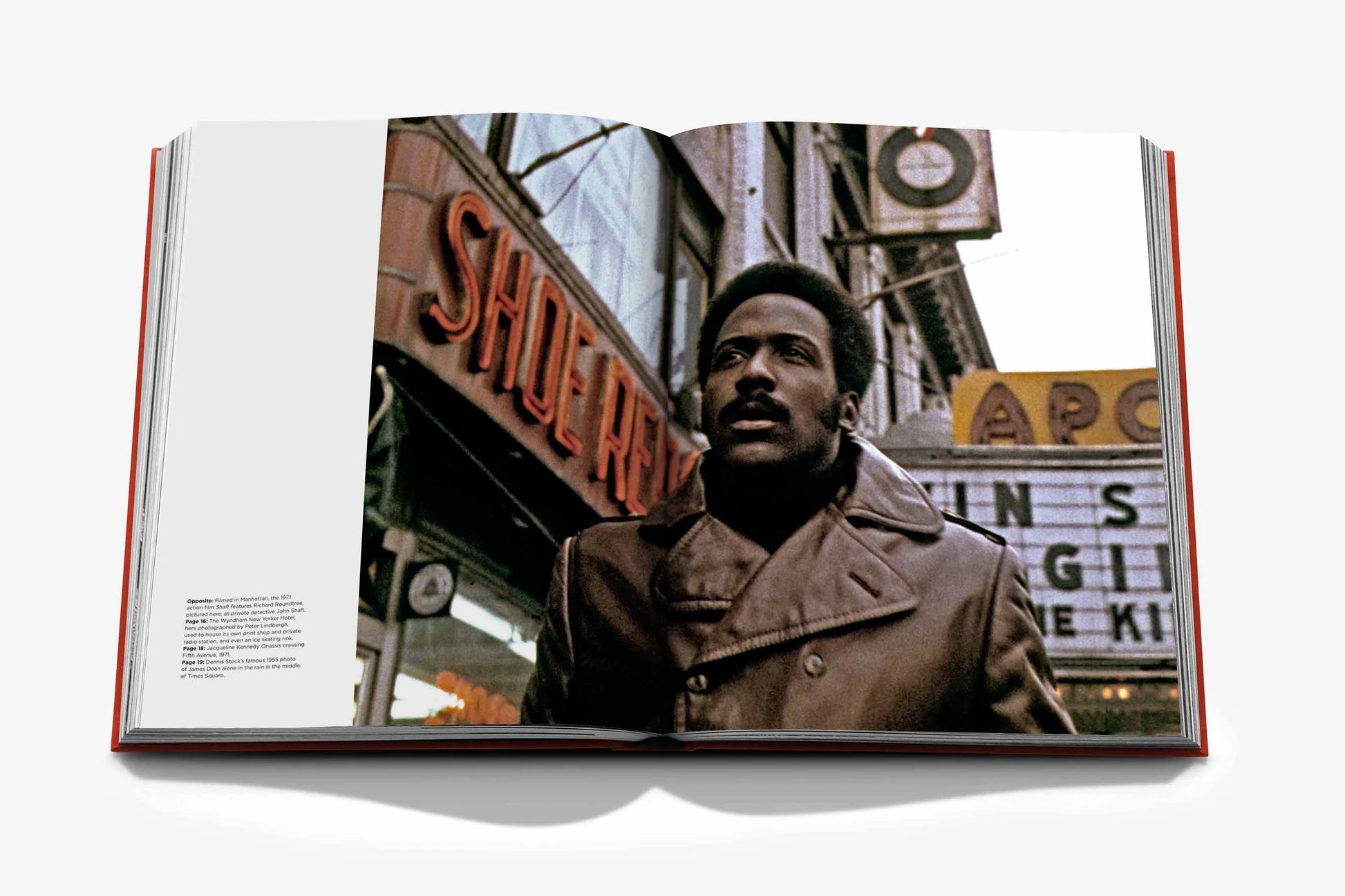 ASSOULINE New York by New York