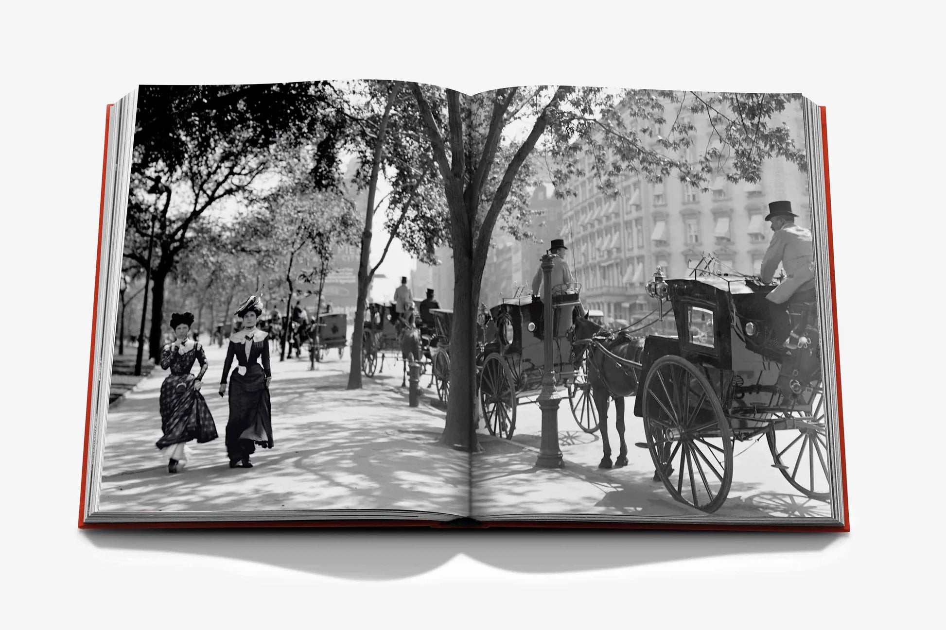 ASSOULINE New York by New York