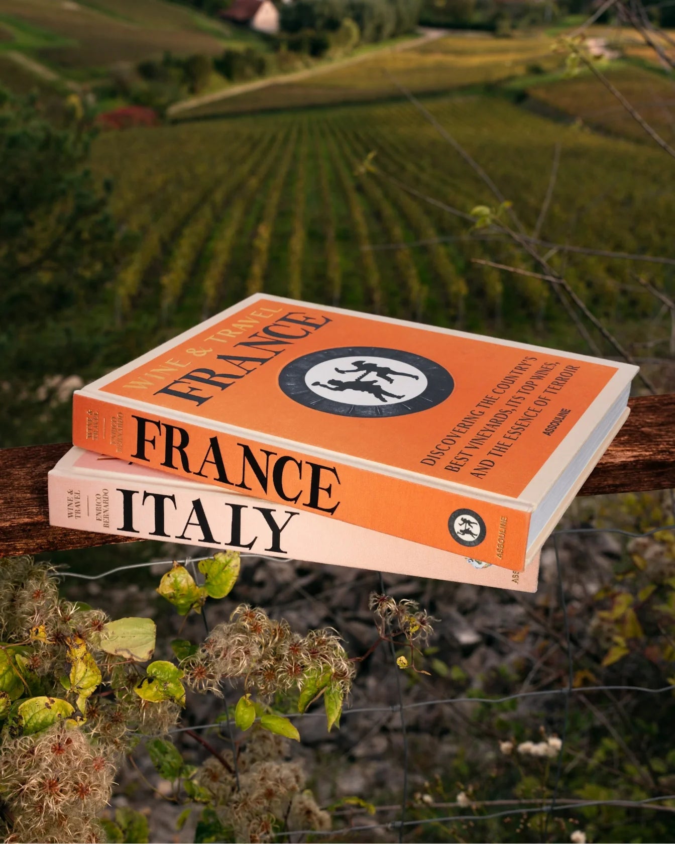 ASSOULINE Wine and Travel France and Italy Gift Set