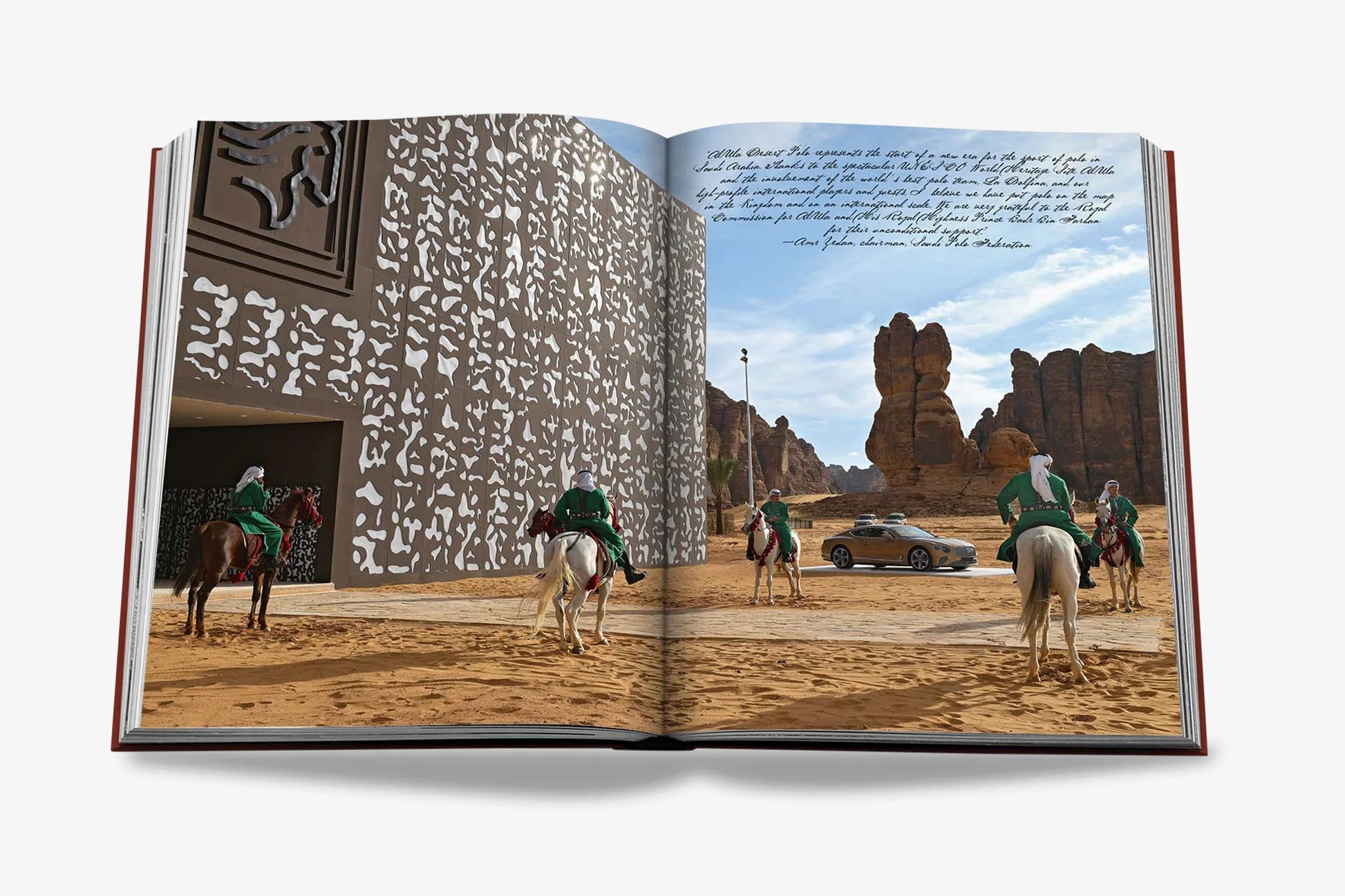 ASSOULINE Polo Heritage