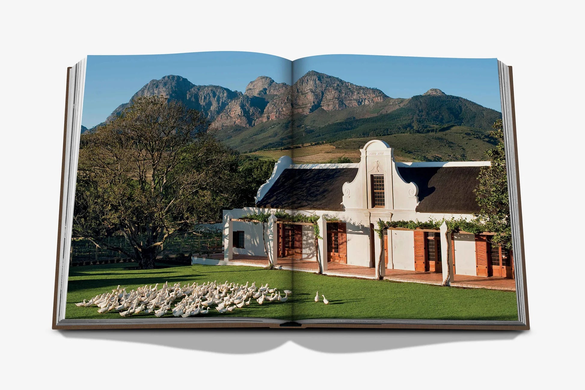 ASSOULINE Secret Stays