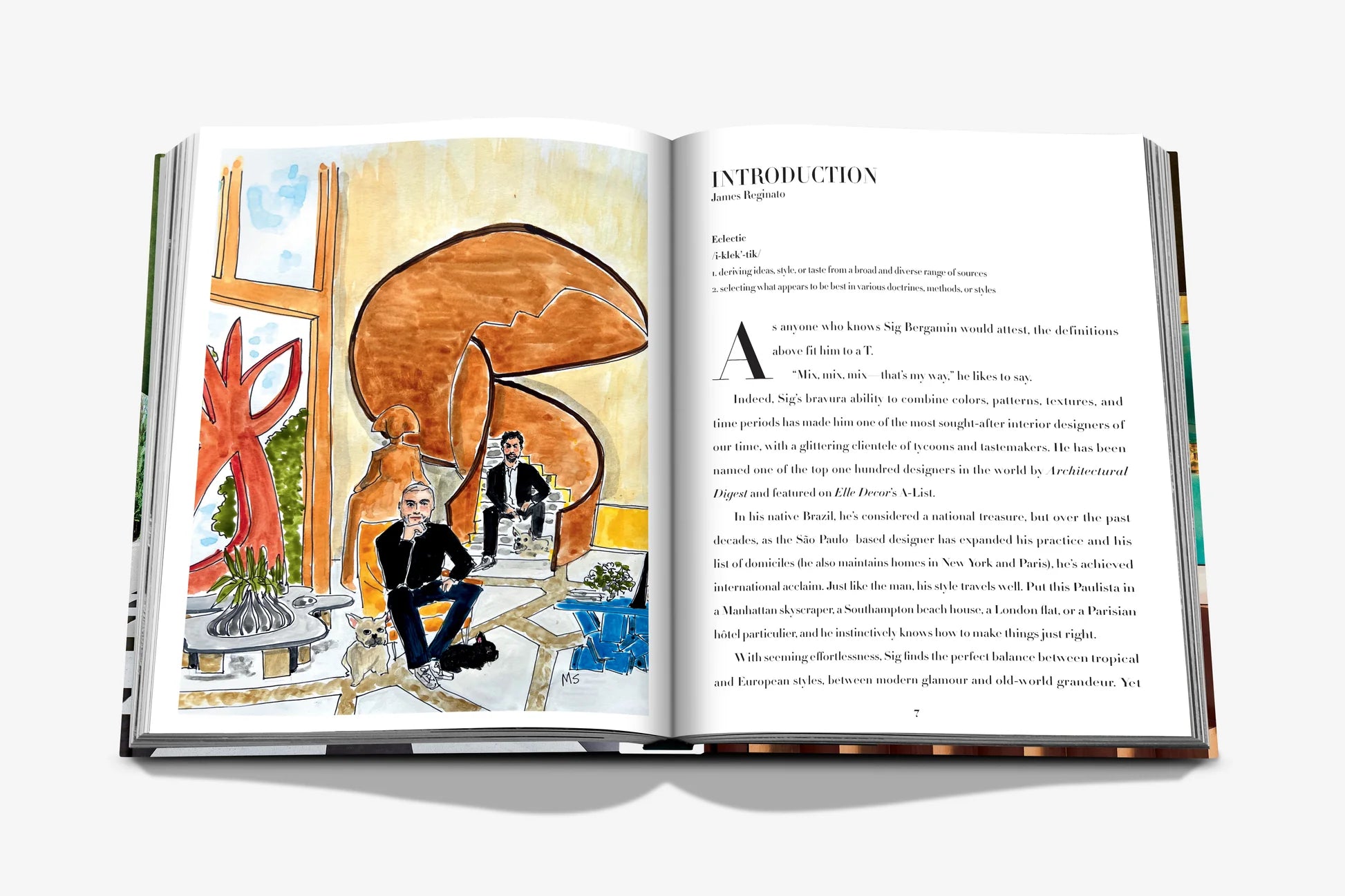 ASSOULINE Sig Bergamin: Eclectic