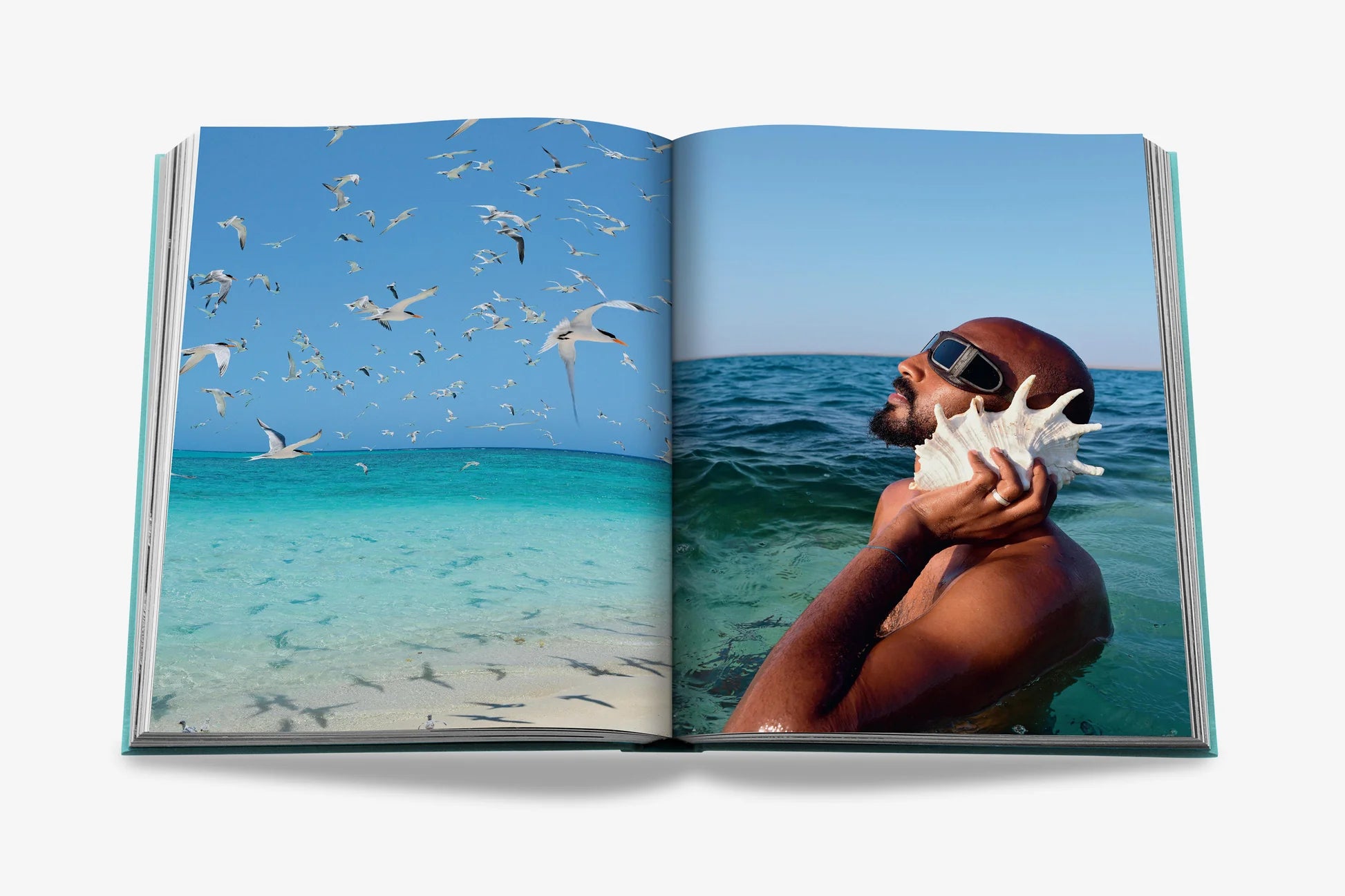 ASSOULINE Saudi Arabia: Red Sea, The Saudi Coast