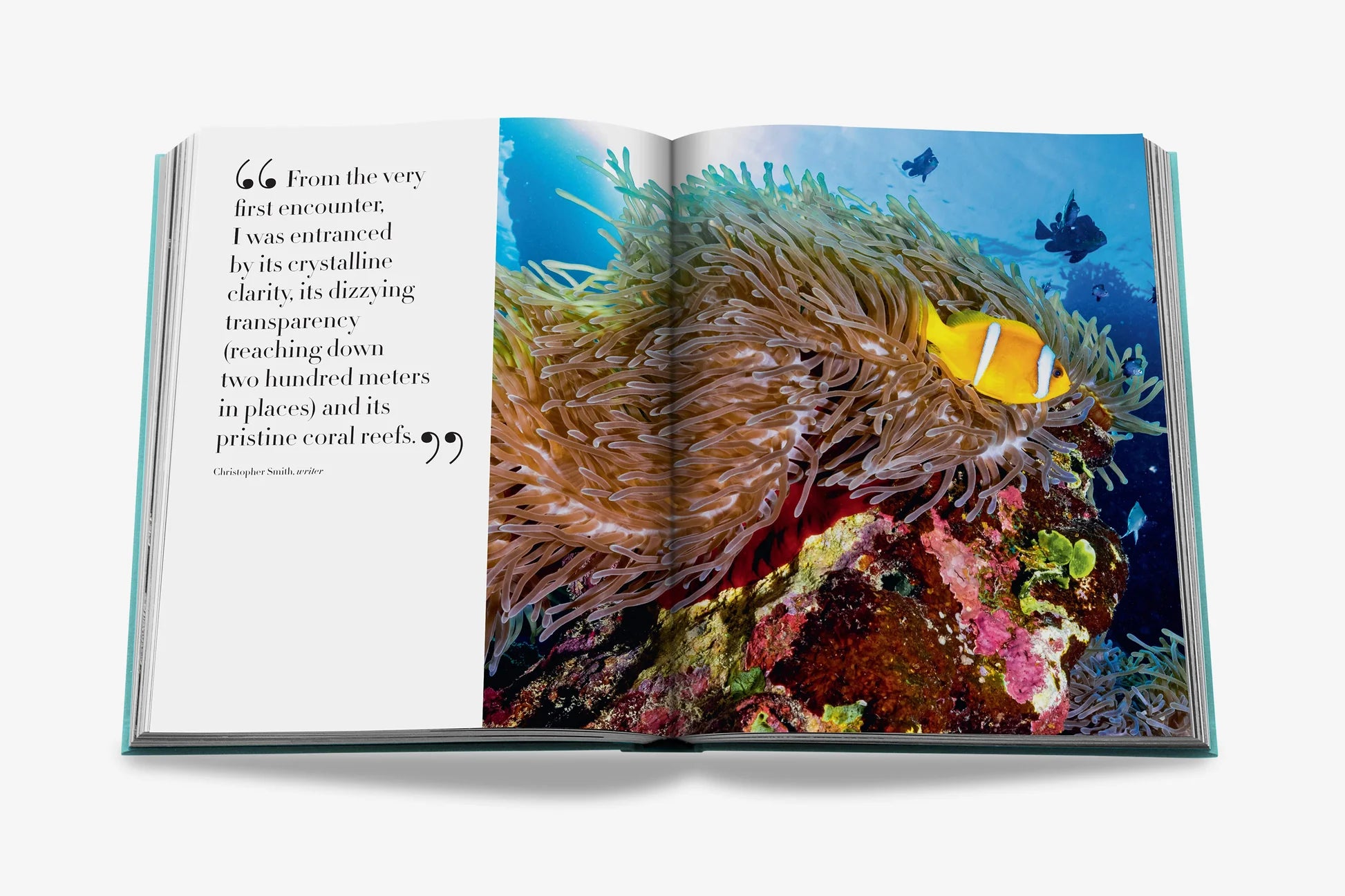 ASSOULINE Saudi Arabia: Red Sea, The Saudi Coast