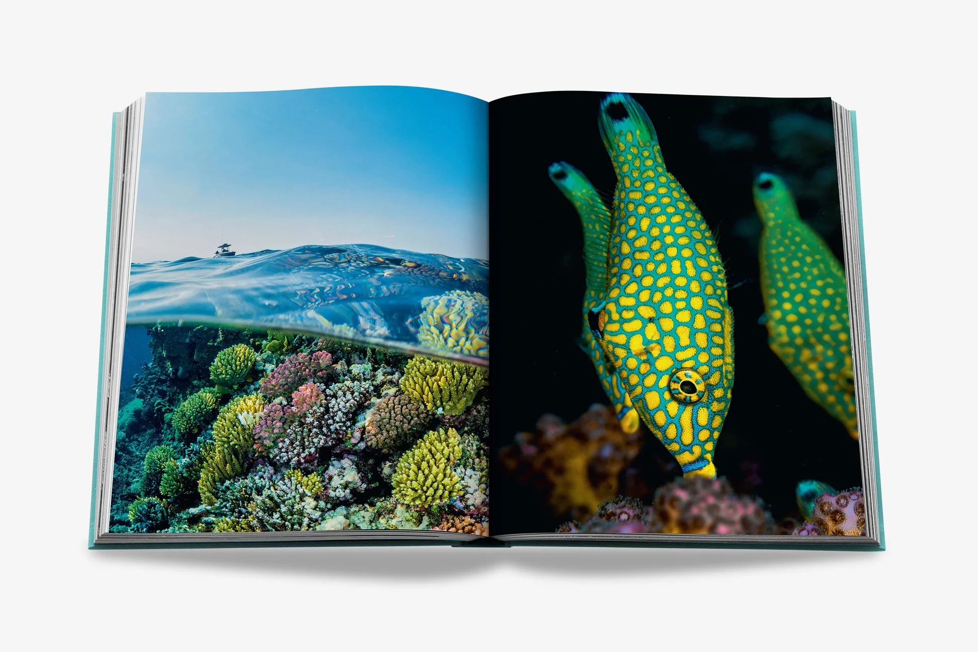 ASSOULINE Saudi Arabia: Red Sea, The Saudi Coast