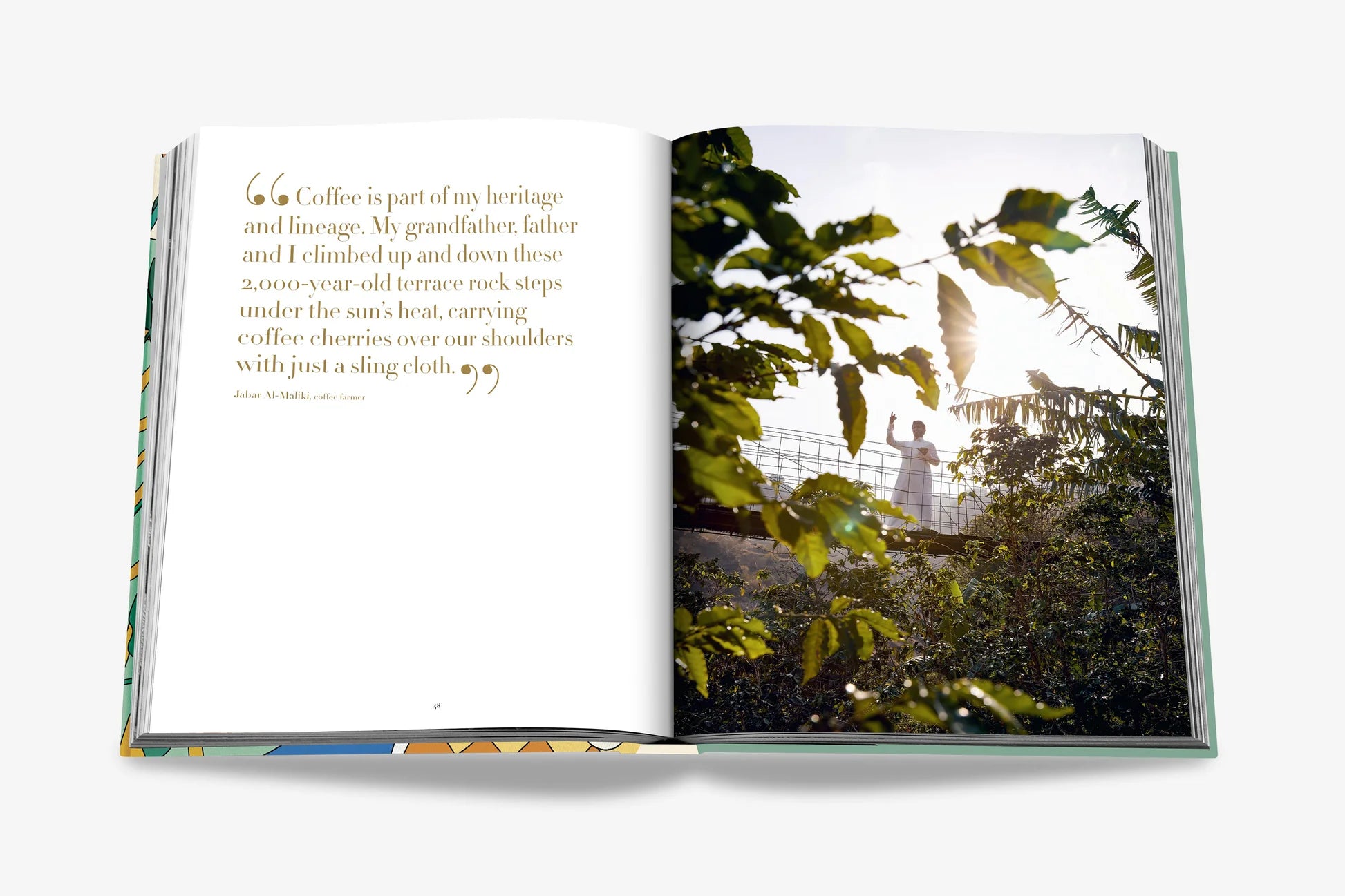 ASSOULINE Saudi Coffee: The Culture of Hospitality