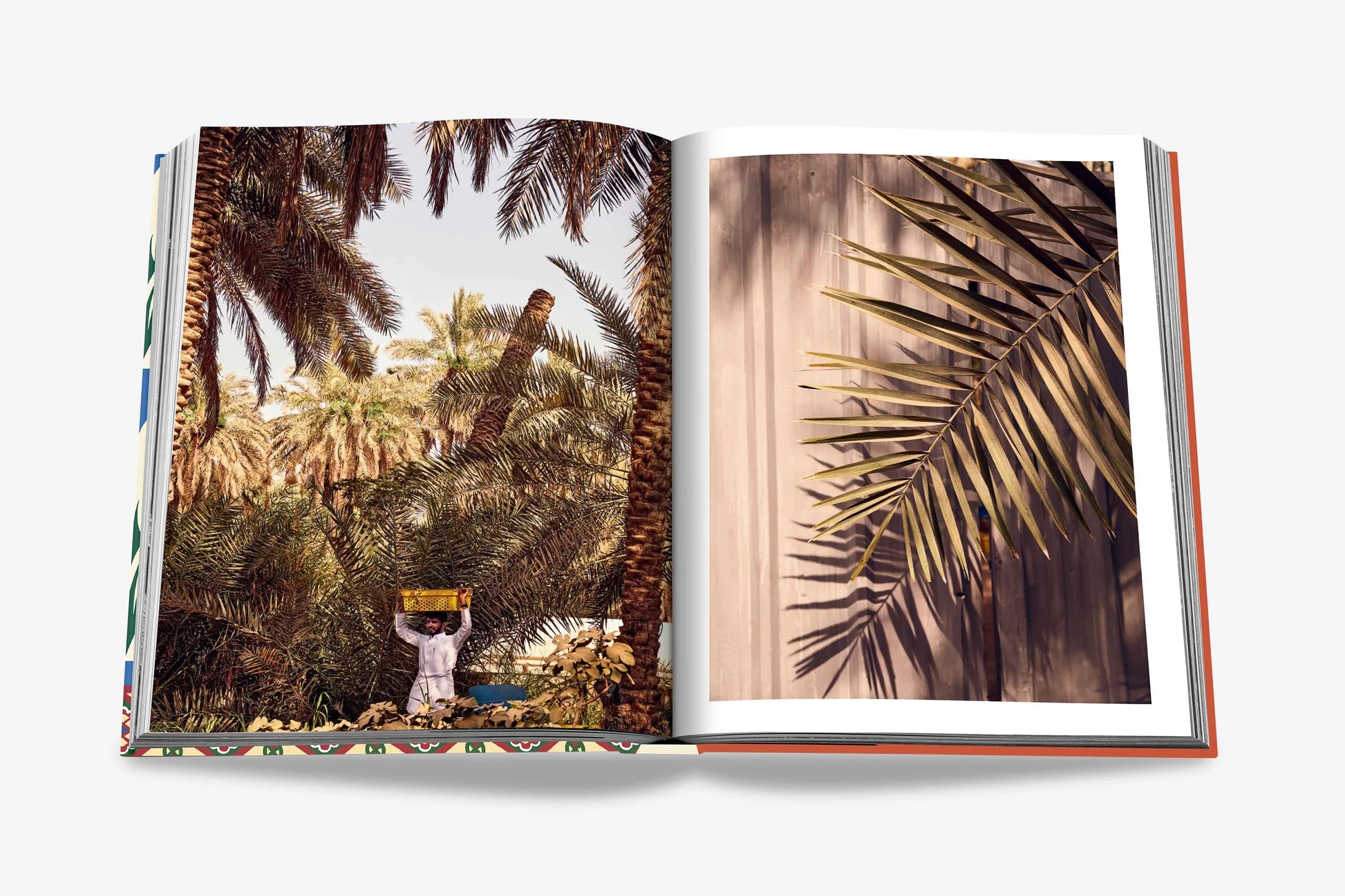 ASSOULINE Saudi Dates: A Portrait of the Sacred Fruit