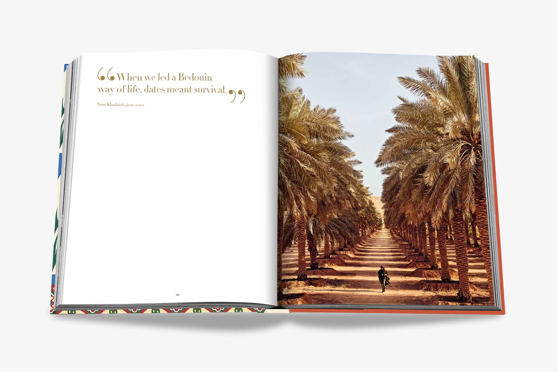 ASSOULINE Saudi Dates: A Portrait of the Sacred Fruit