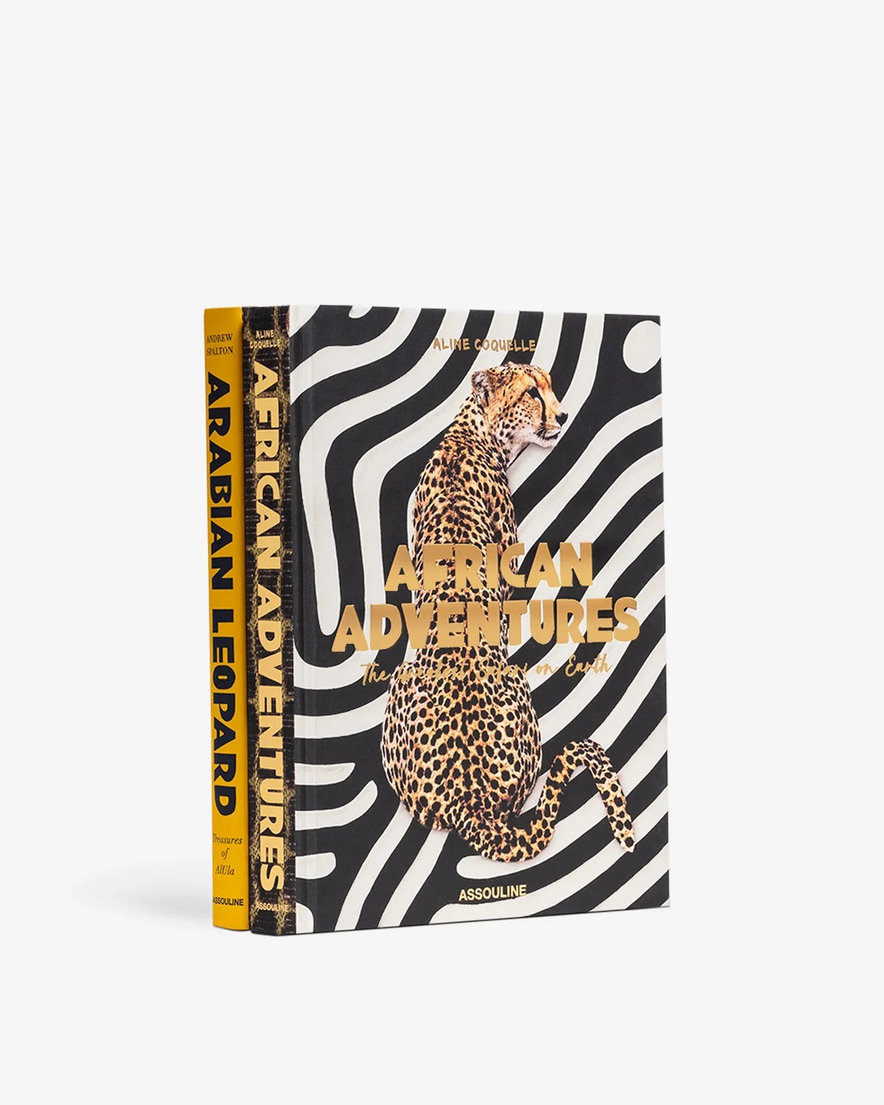 ASSOULINE Safari Spirit Gift Set