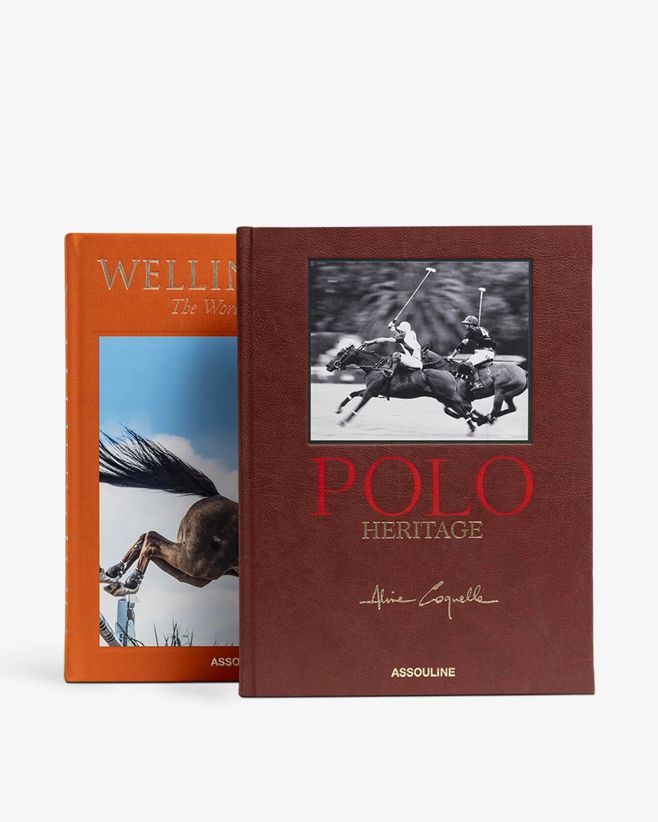 ASSOULINE Equestrian Gift Set