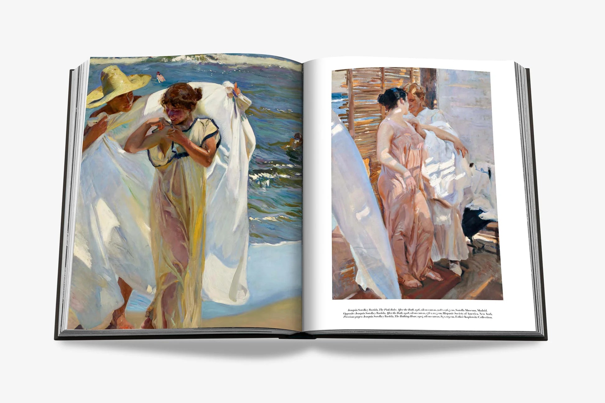 ASSOULINE Sorolla: A Vision of Spain