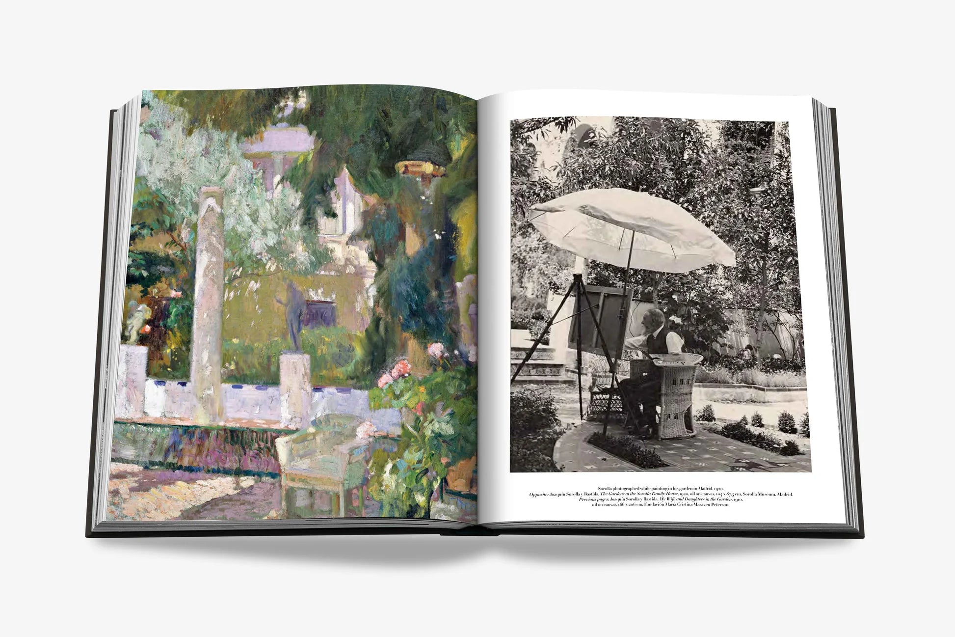 ASSOULINE Sorolla: A Vision of Spain