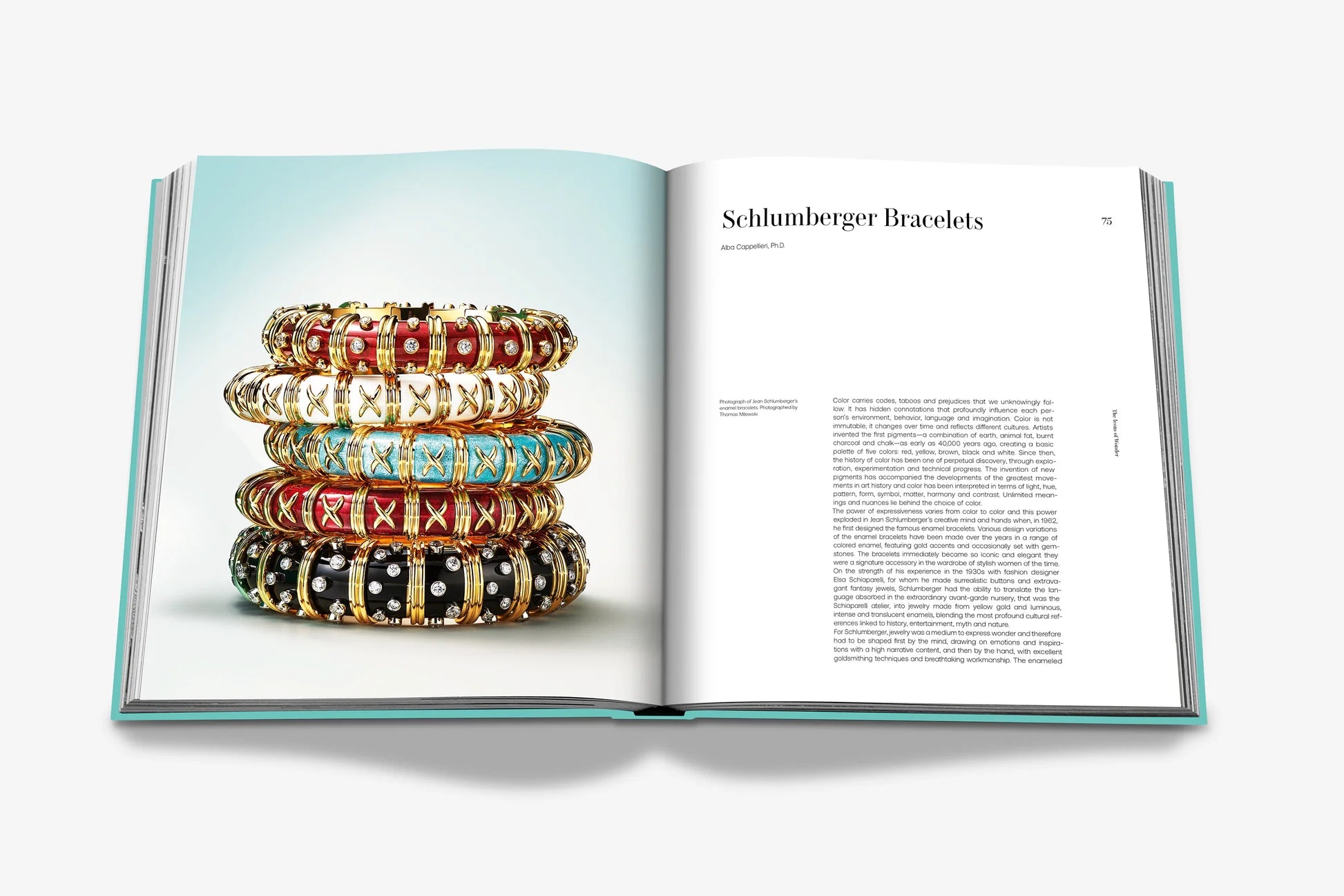 ASSOULINE Tiffany & Co.: The Landmark