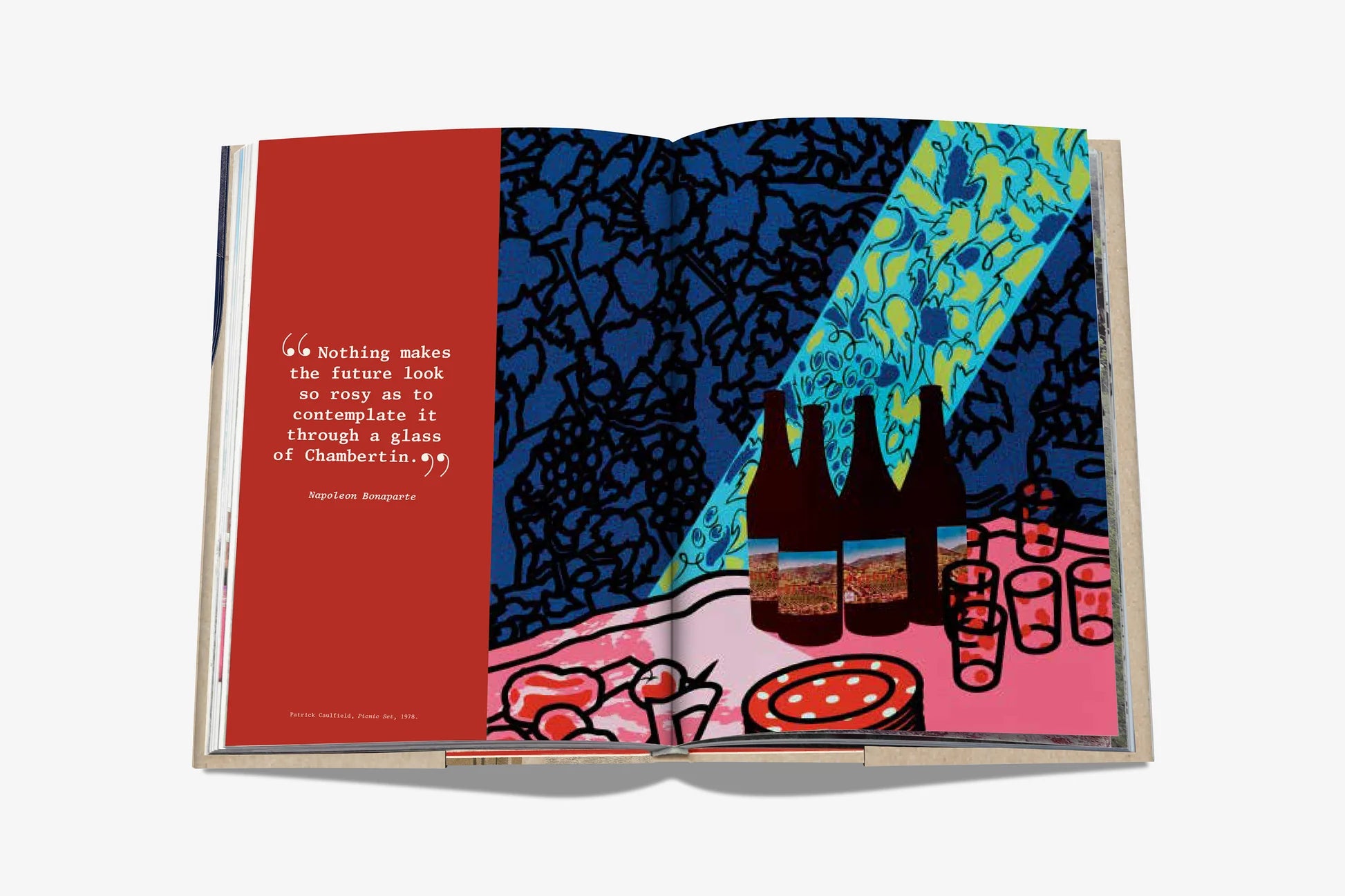 ASSOULINE The 100 Burgundy: Exceptional Wines to Build a Dream Cellar