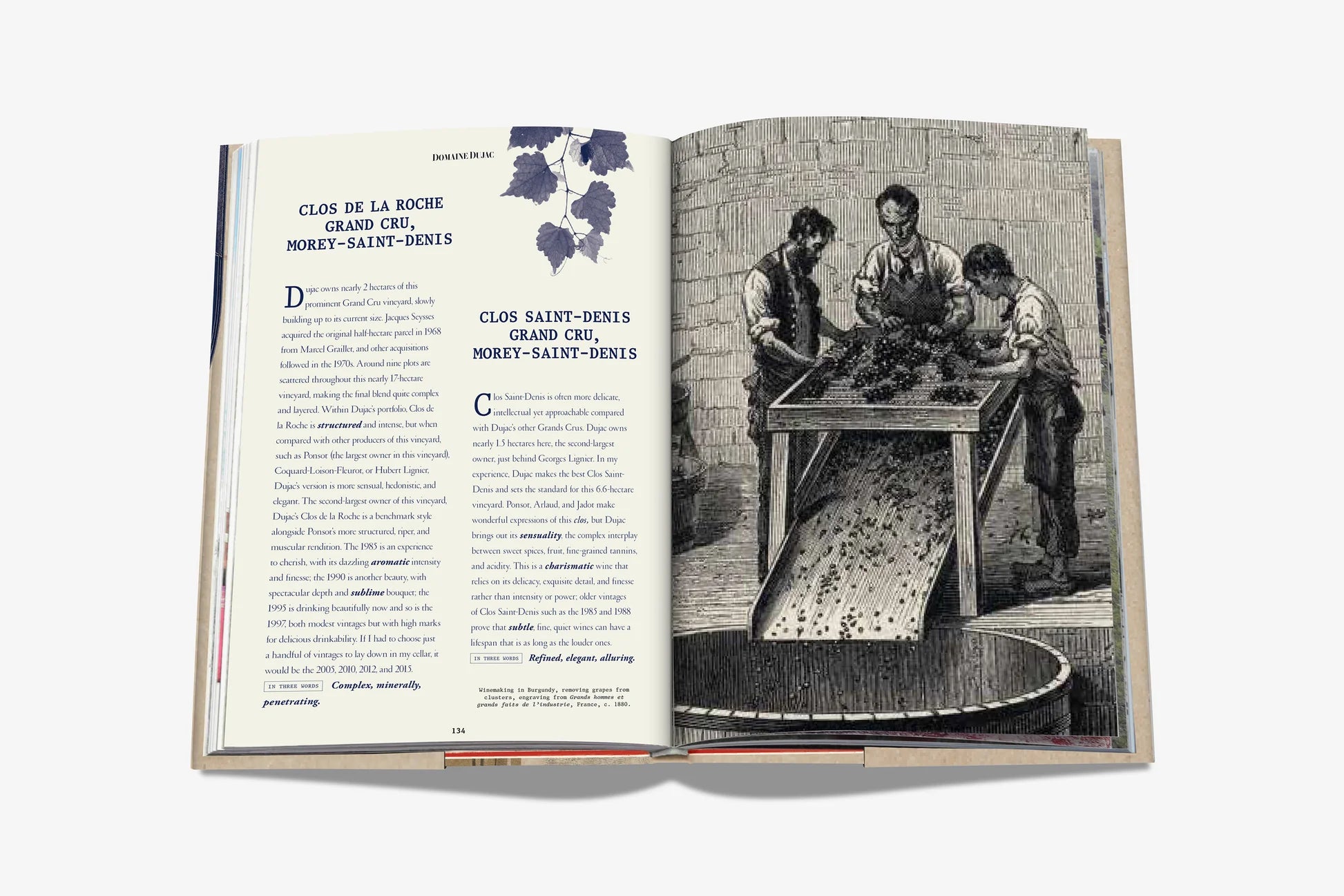 ASSOULINE The 100 Burgundy: Exceptional Wines to Build a Dream Cellar