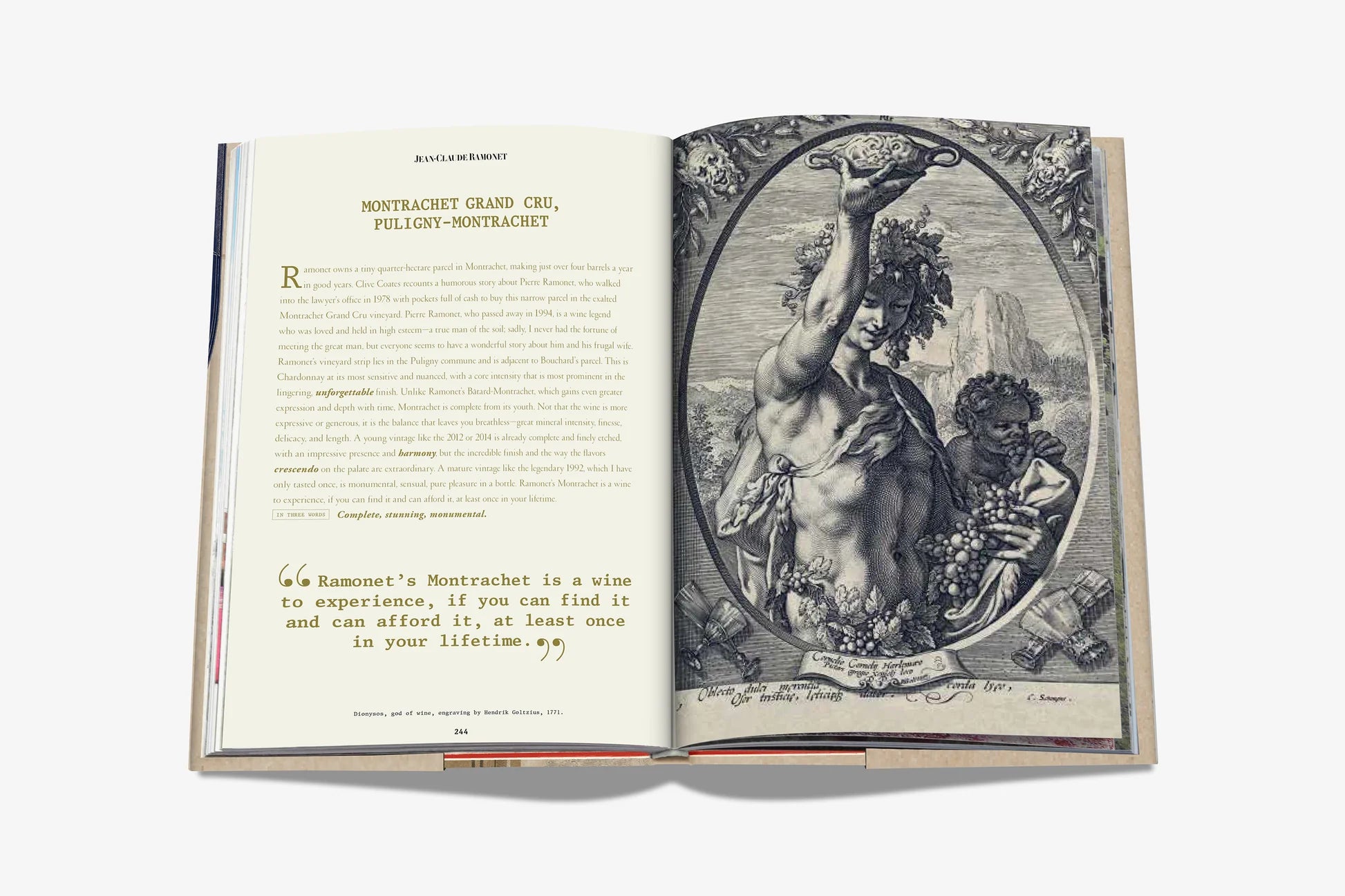 ASSOULINE The 100 Burgundy: Exceptional Wines to Build a Dream Cellar