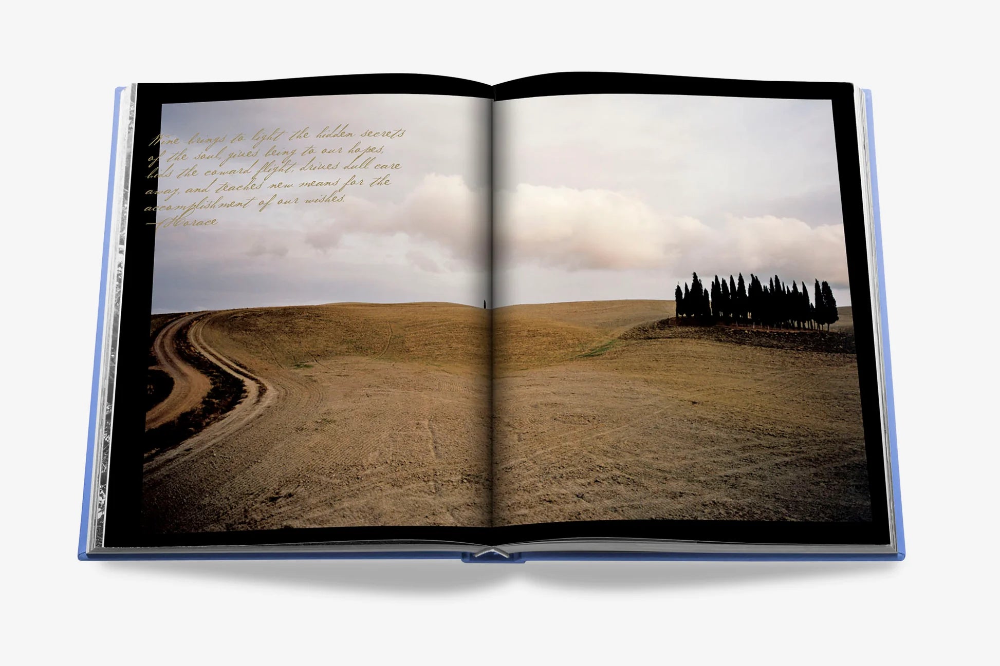 ASSOULINE The Italian Dream