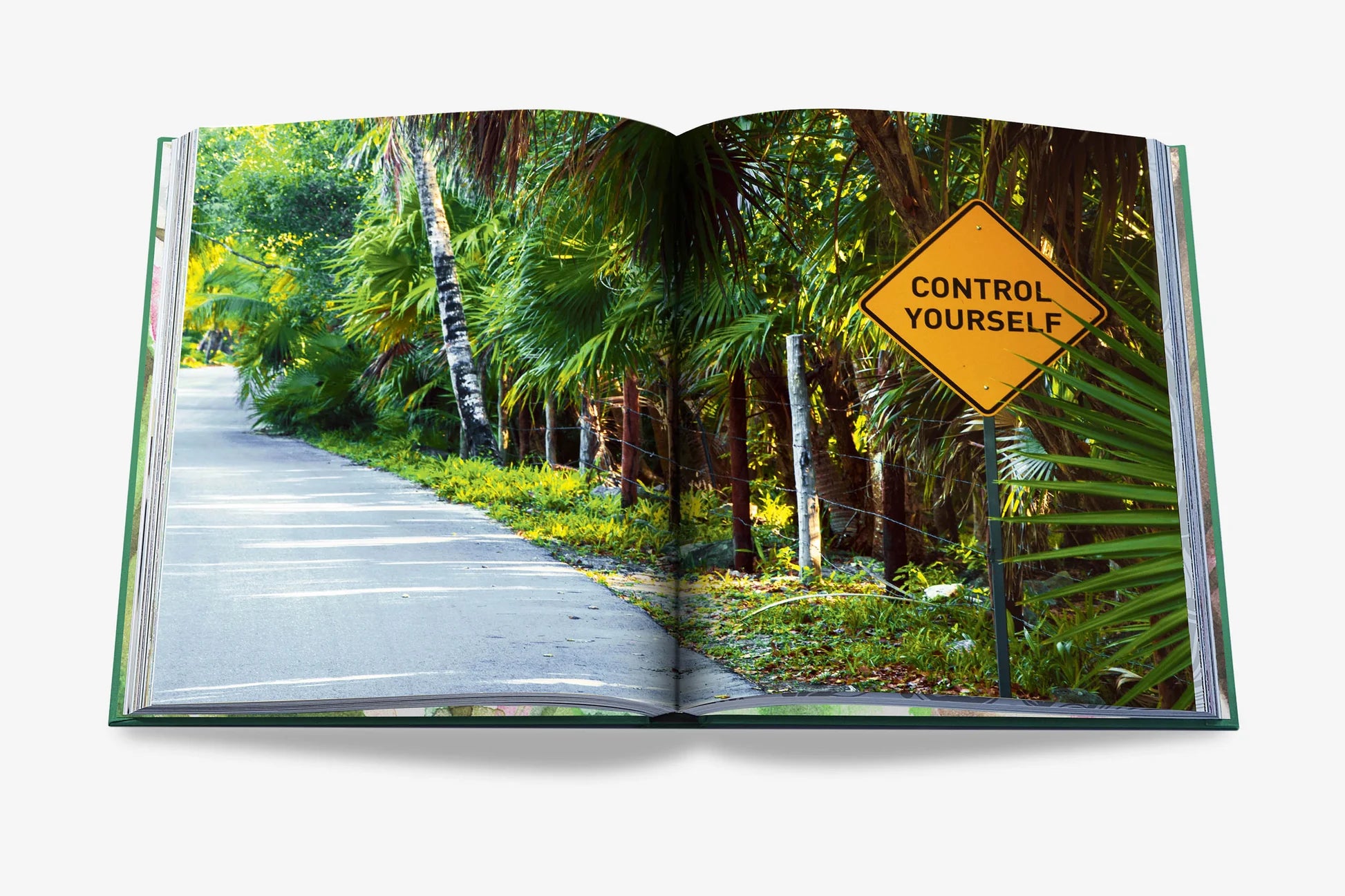 ASSOULINE Tulum Gypset