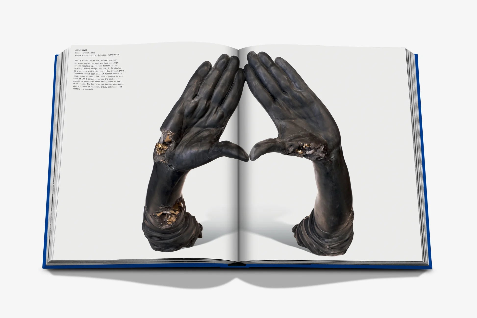 ASSOULINE The Book of HOV: A Tribute to Jay-Z (Classic)