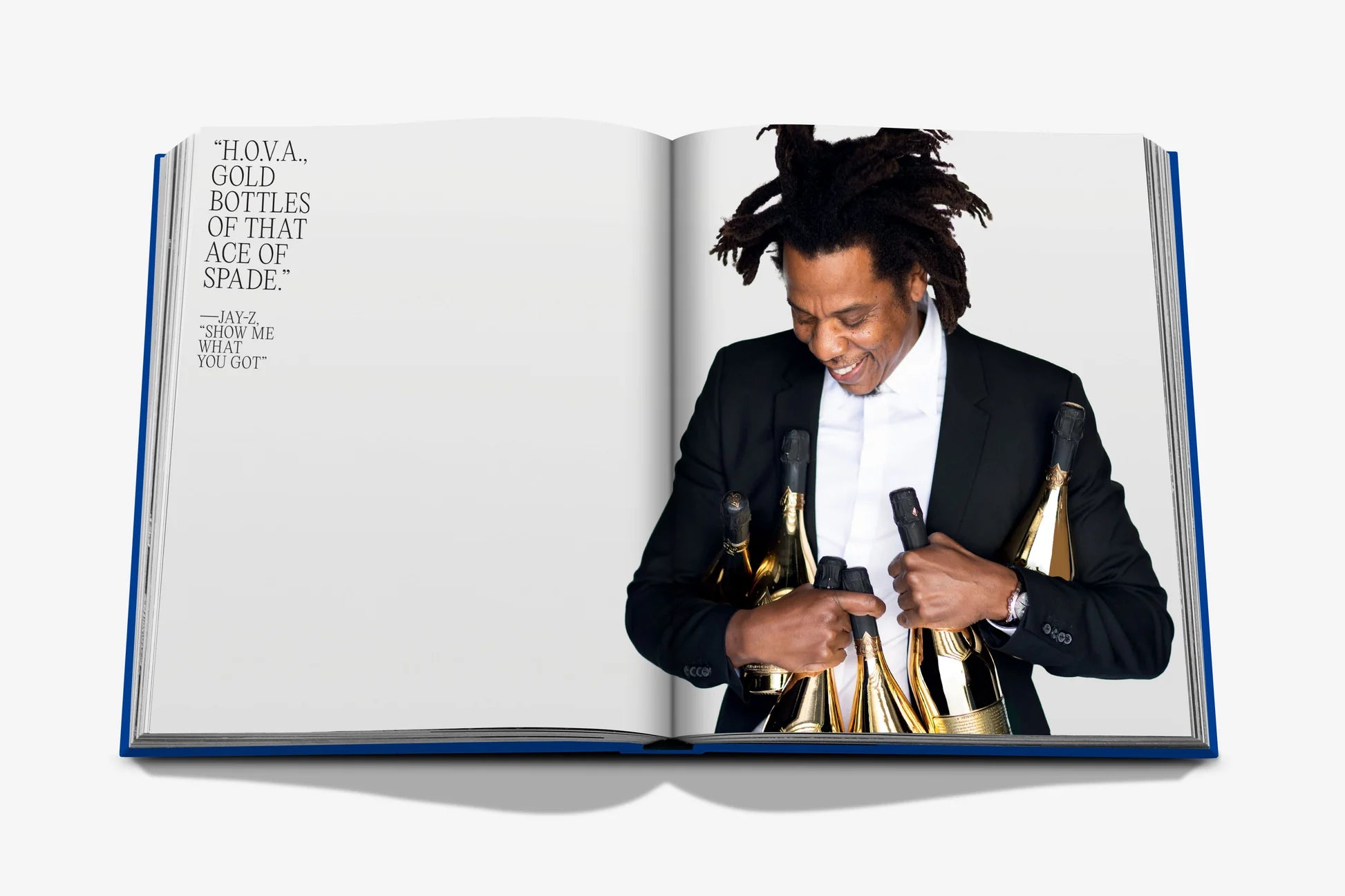 ASSOULINE The Book of HOV: A Tribute to Jay-Z (Classic)