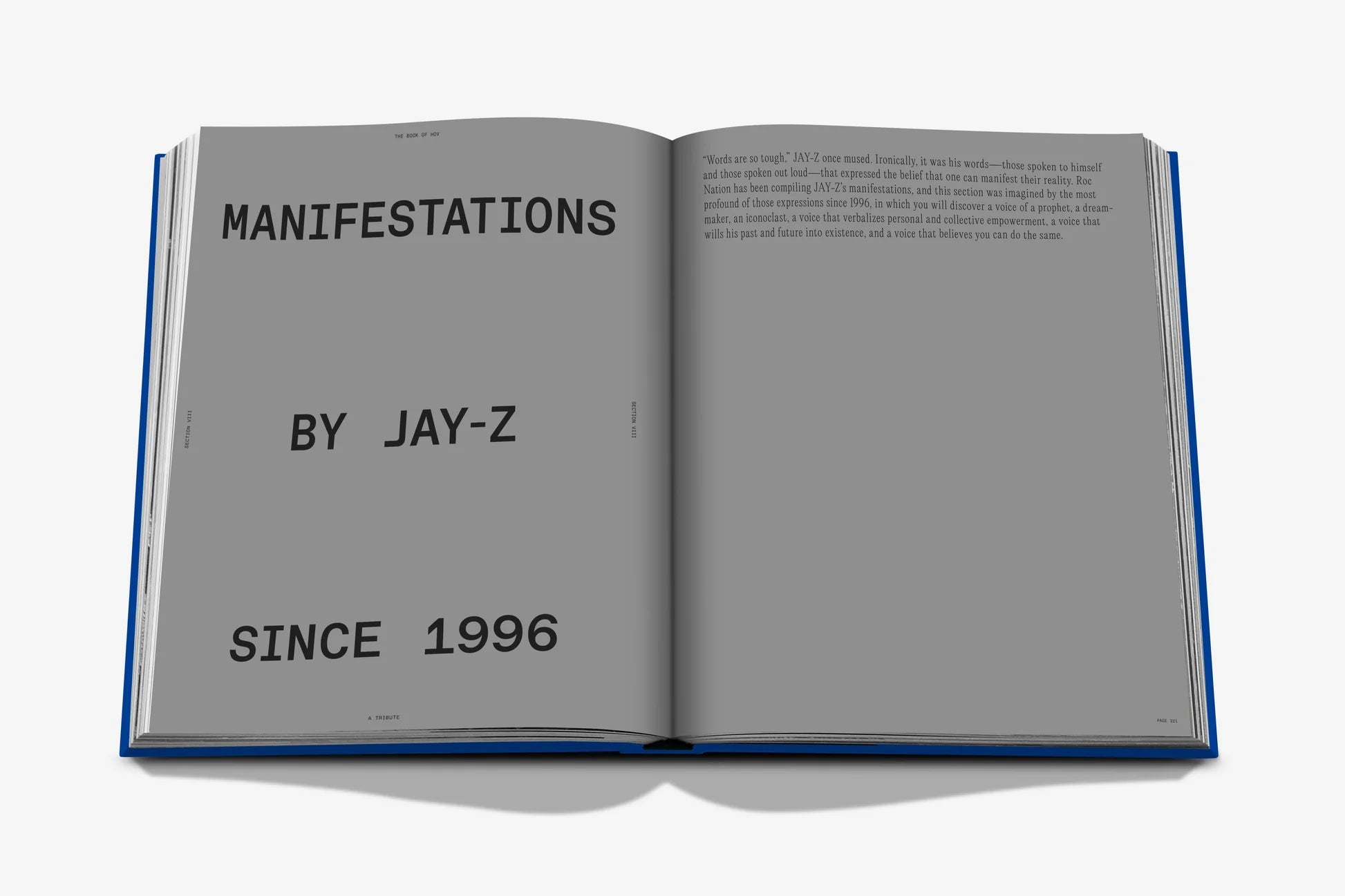 ASSOULINE The Book of HOV: A Tribute to Jay-Z (Classic)