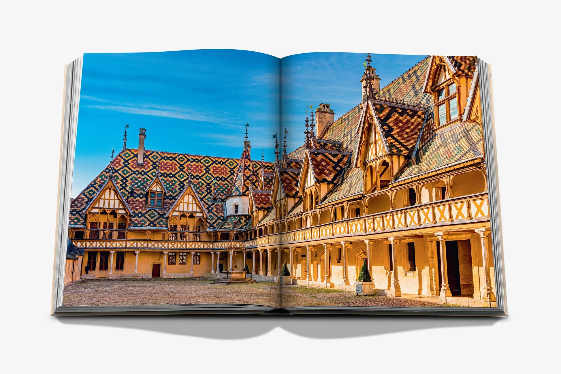 ASSOULINE Wine & Travel France