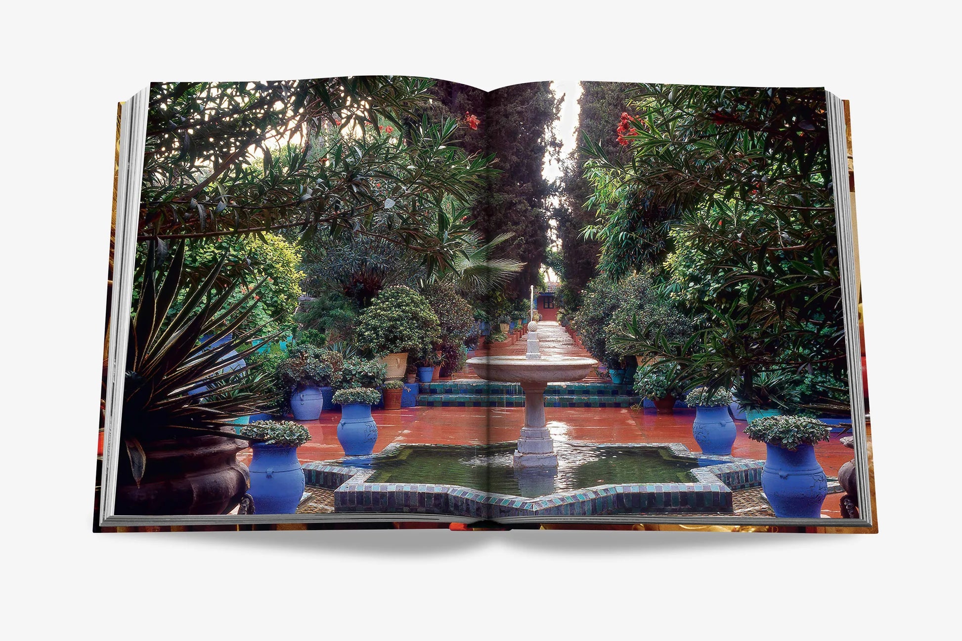 ASSOULINE Yves Saint Laurent at Home