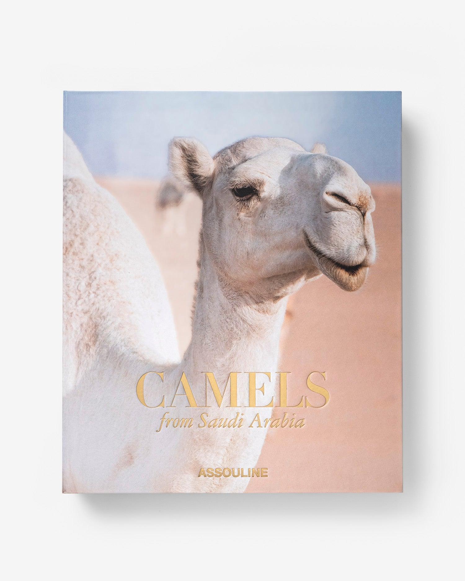 ASSOULINE Camels from Saudi Arabia