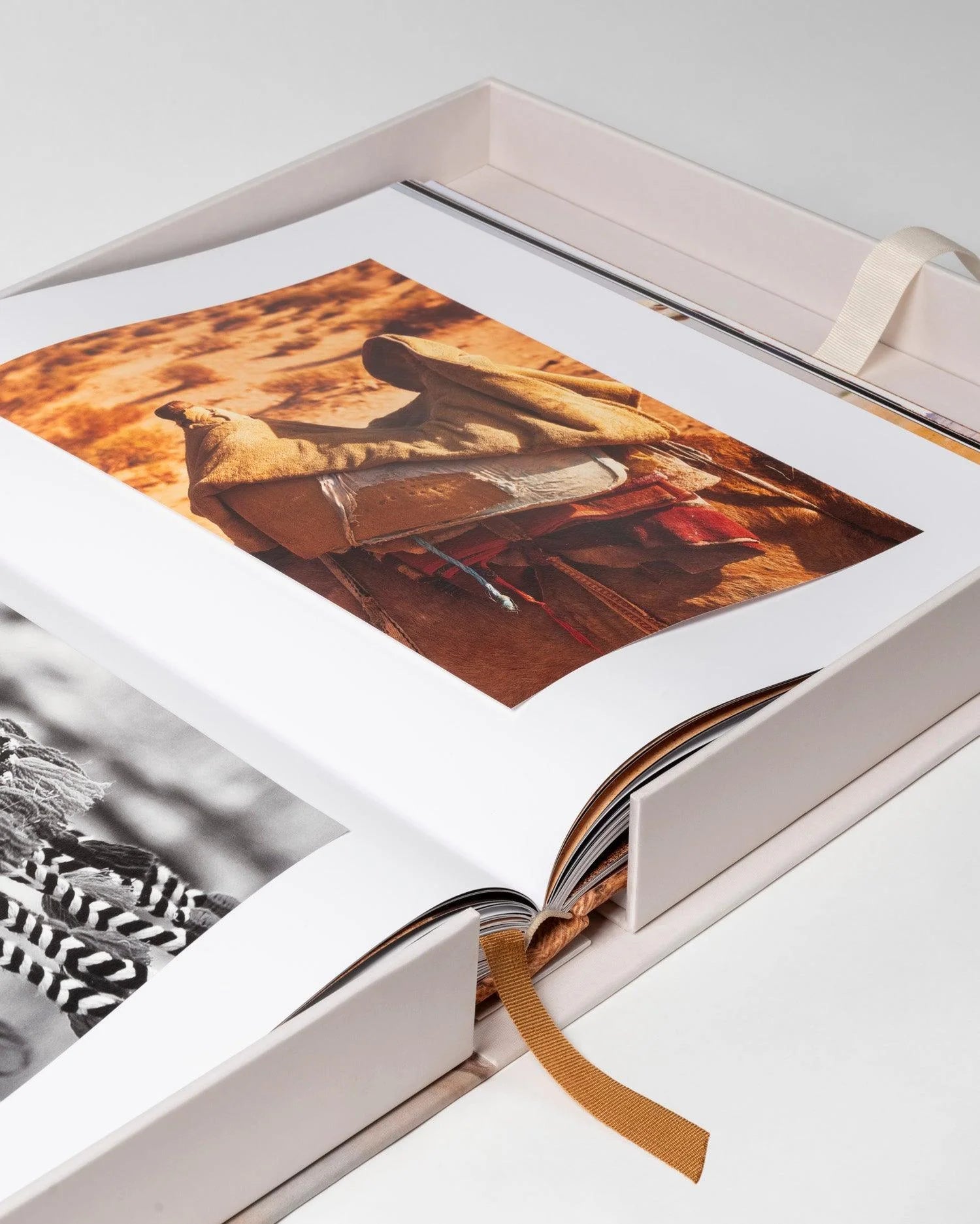 ASSOULINE Camels from Saudi Arabia