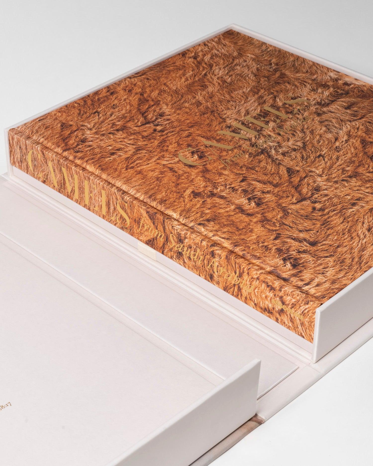 ASSOULINE Camels from Saudi Arabia