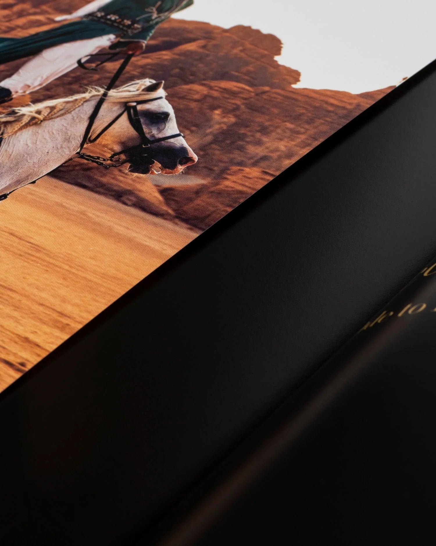 ASSOULINE Horses from Saudi Arabia