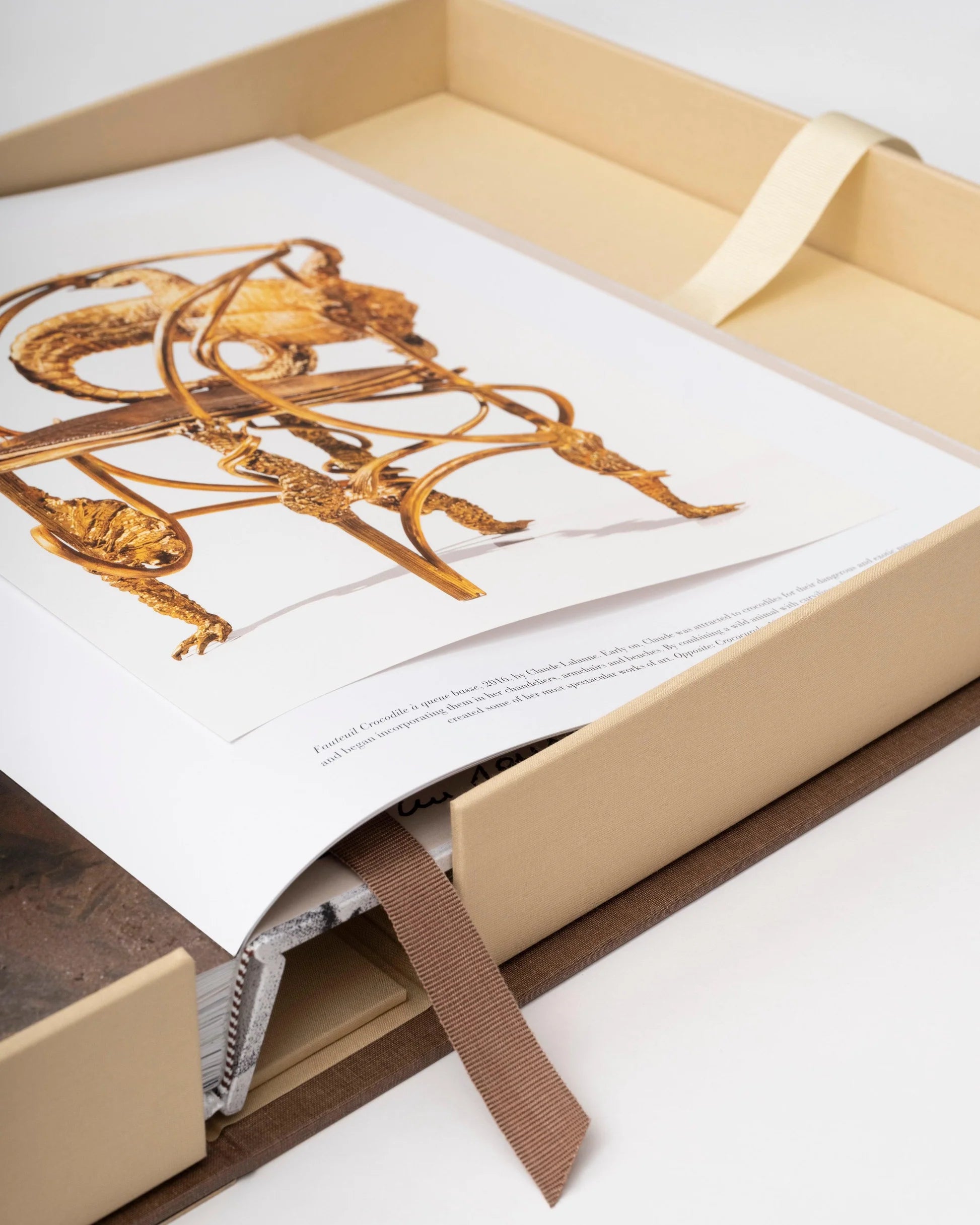 ASSOULINE Lalanne: En verden af poesi