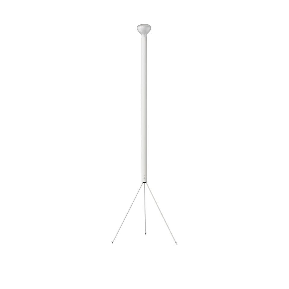 Flos Luminator