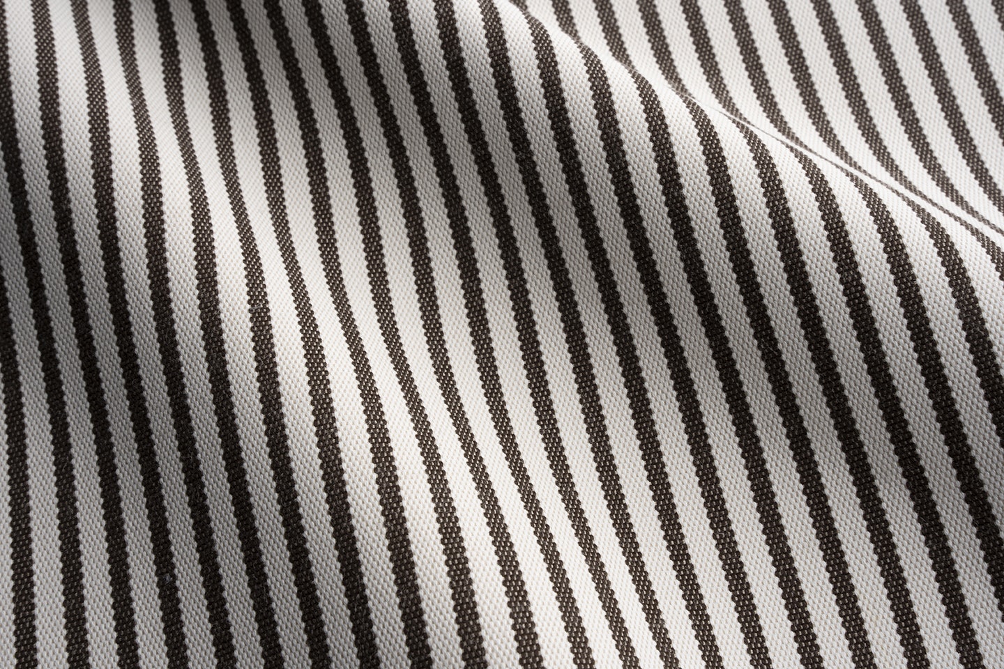 Perennials Jake stripe