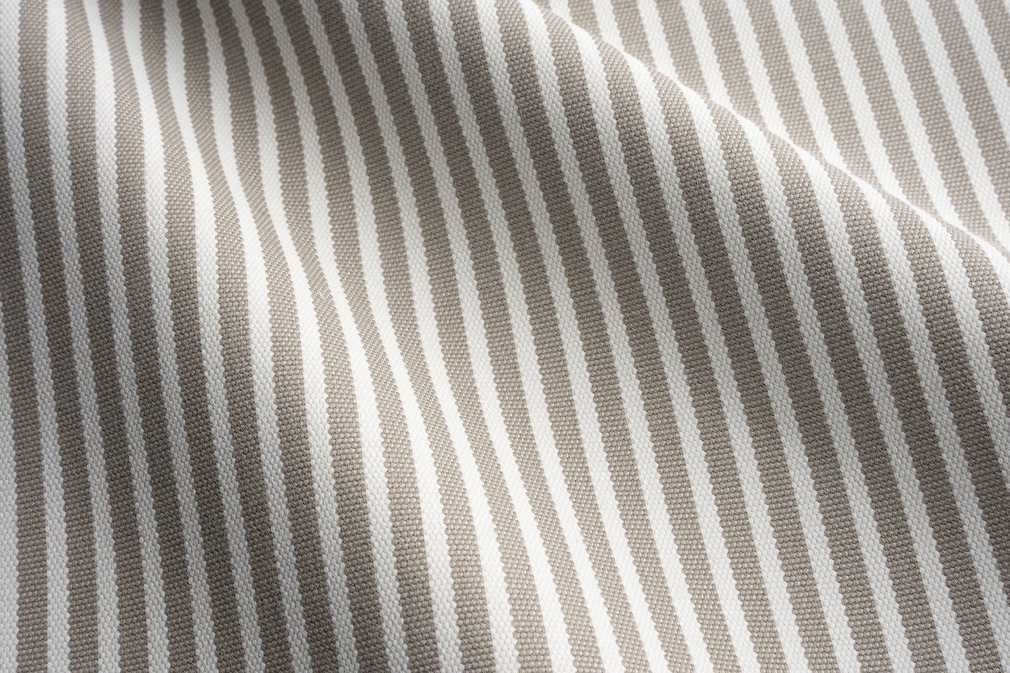 Perennials Jake stripe