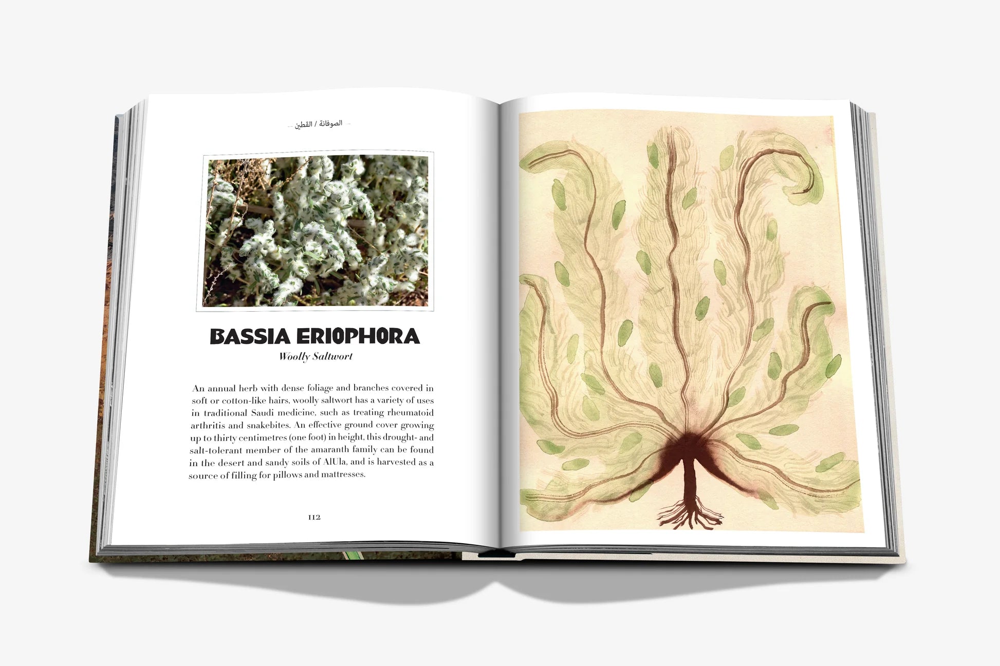 ASSOULINE AlUla Flora