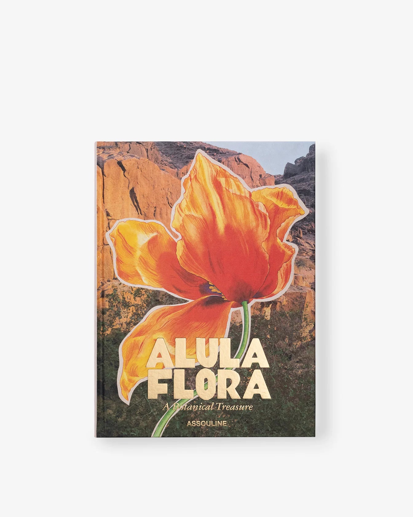 ASSOULINE AlUla Flora