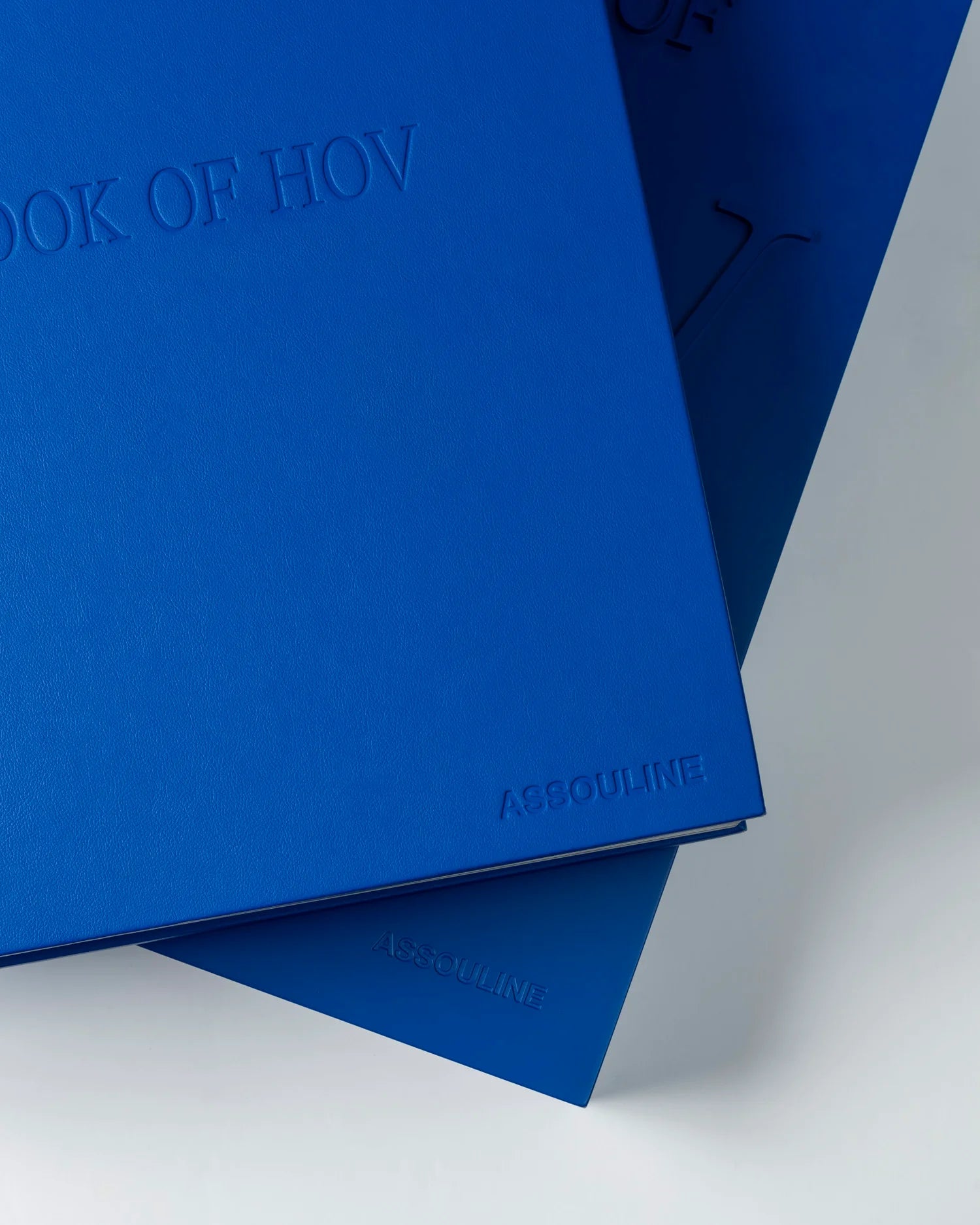 ASSOULINE The Book of HOV: A Tribute to Jay-Z (Ultimate)