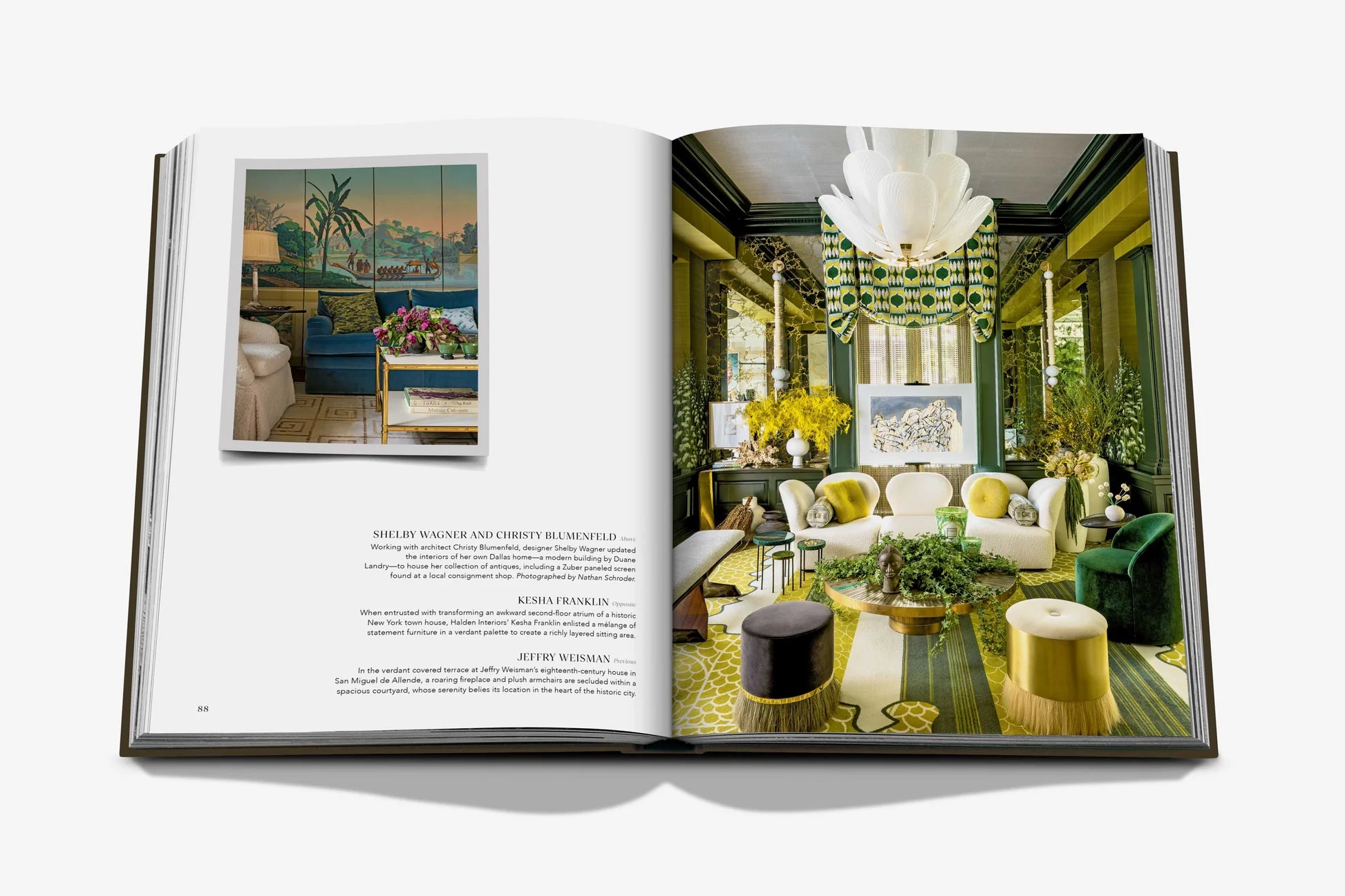 ASSOULINE The Living Room by the Design Leadership Network