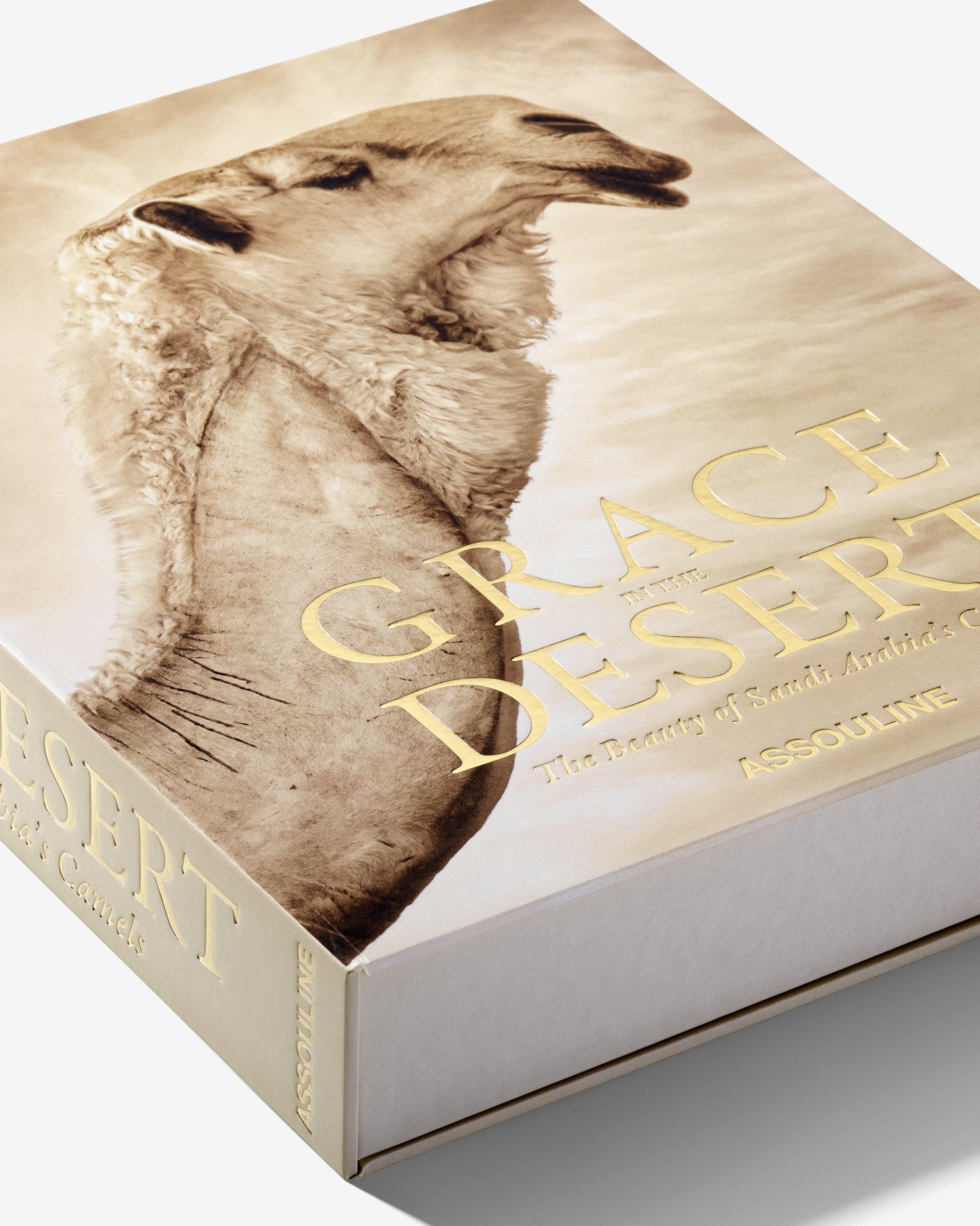 ASSOULINE Grace in the Desert: The Beauty of Saudi Arabia's Camels