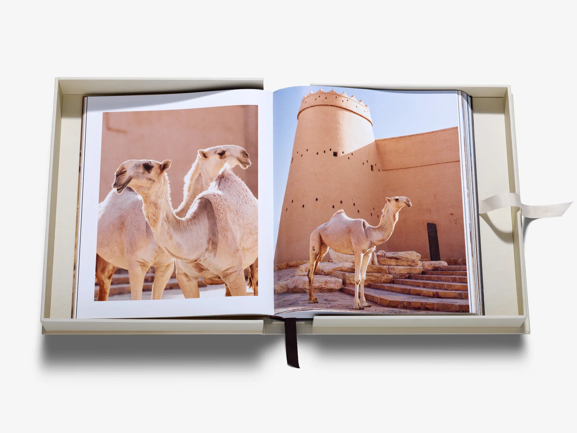 ASSOULINE Grace in the Desert: The Beauty of Saudi Arabia's Camels