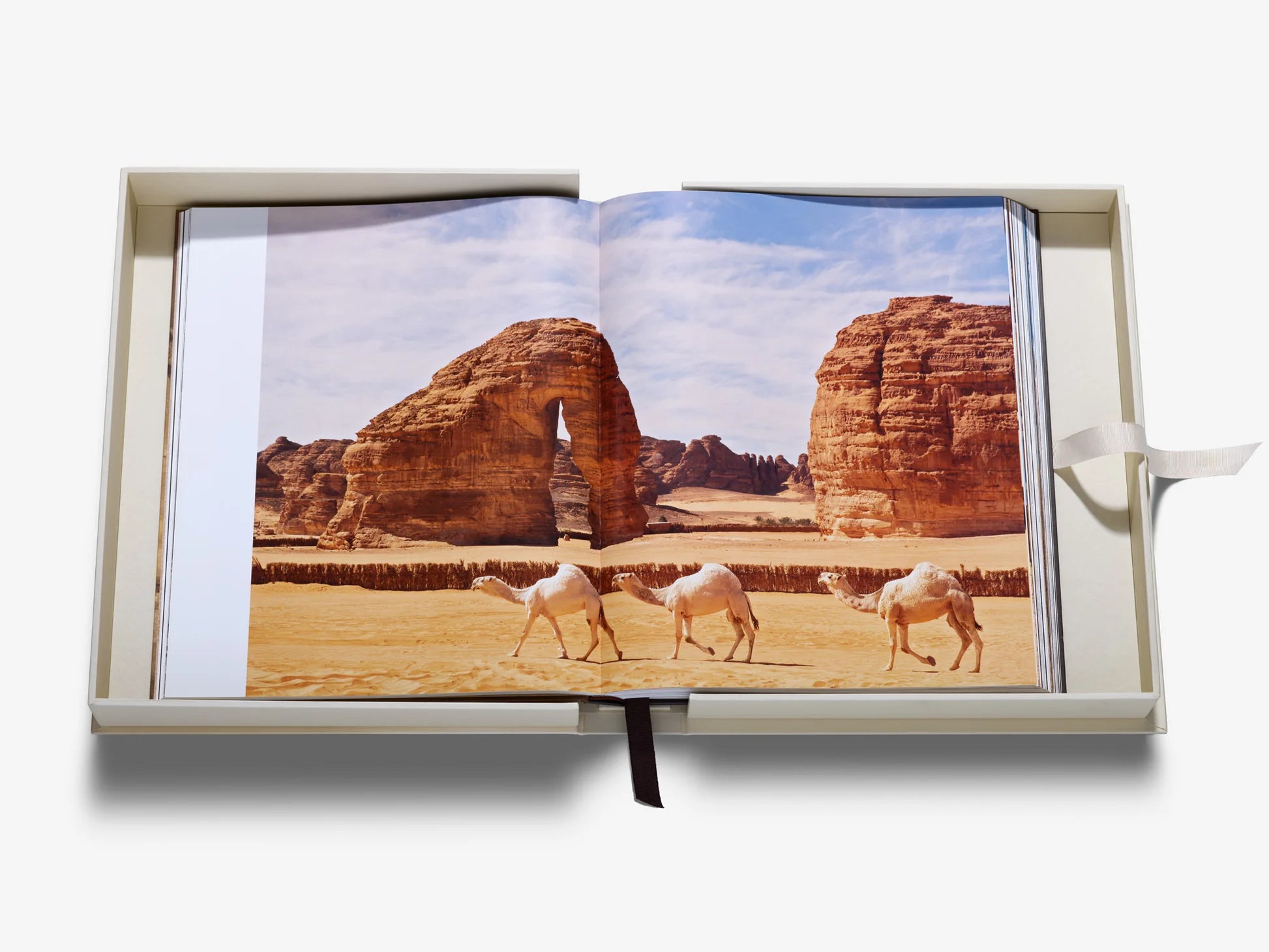 ASSOULINE Grace in the Desert: The Beauty of Saudi Arabia's Camels