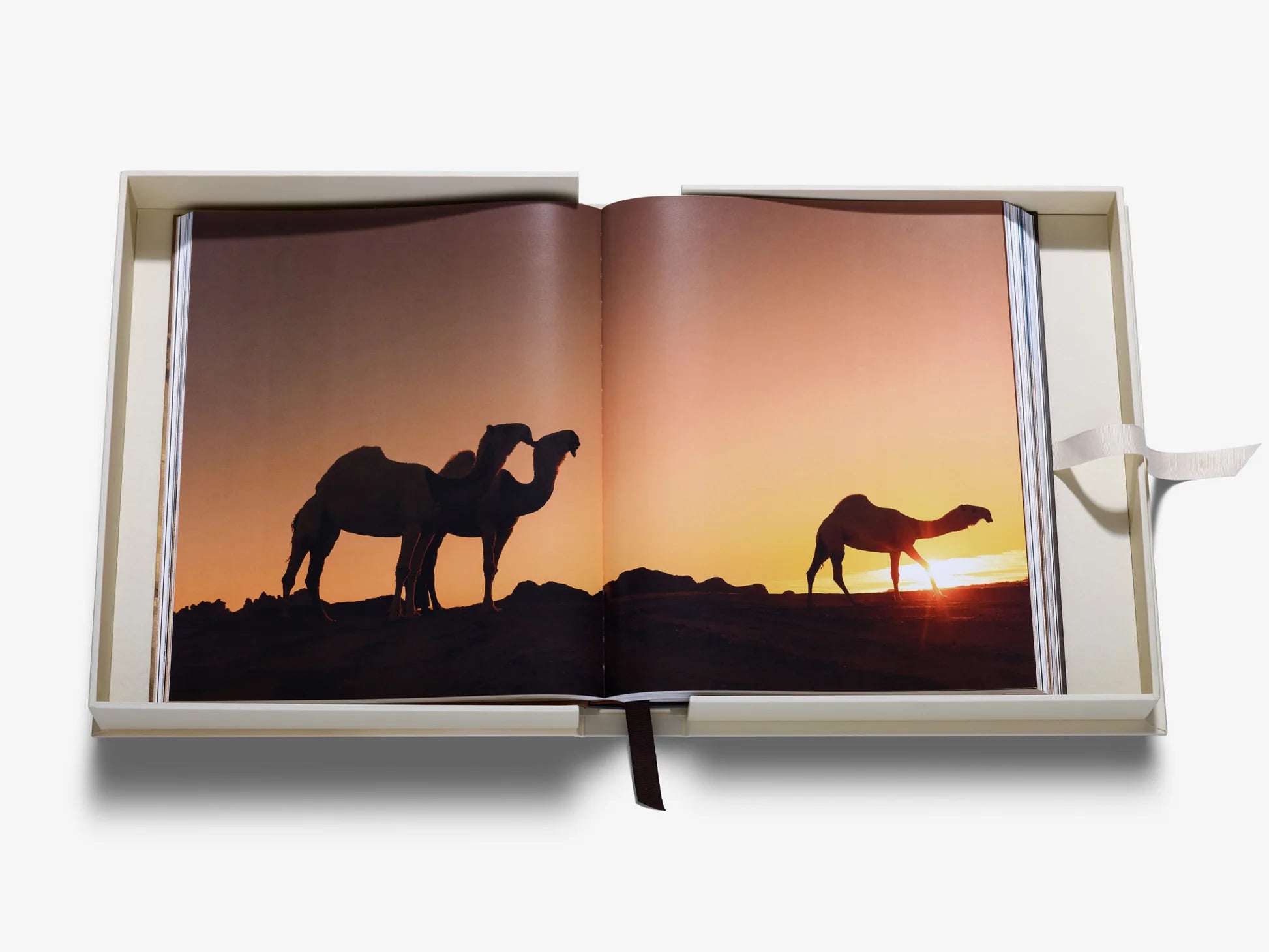 ASSOULINE Grace in the Desert: The Beauty of Saudi Arabia's Camels