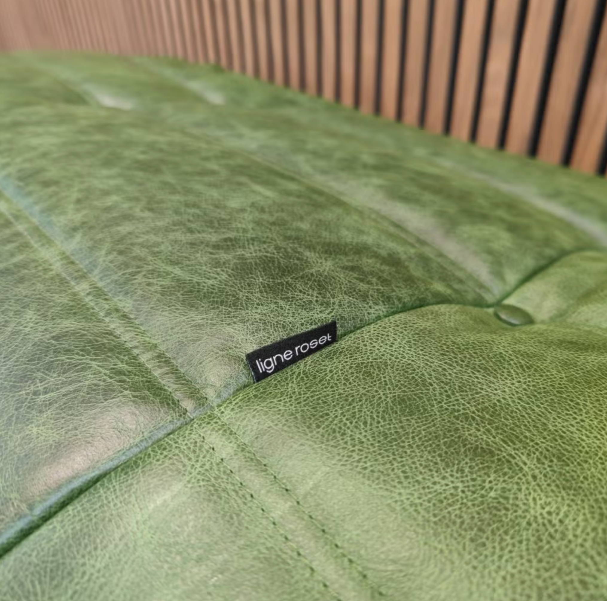 Ligne Roset Togo Modular Set – Green Leather