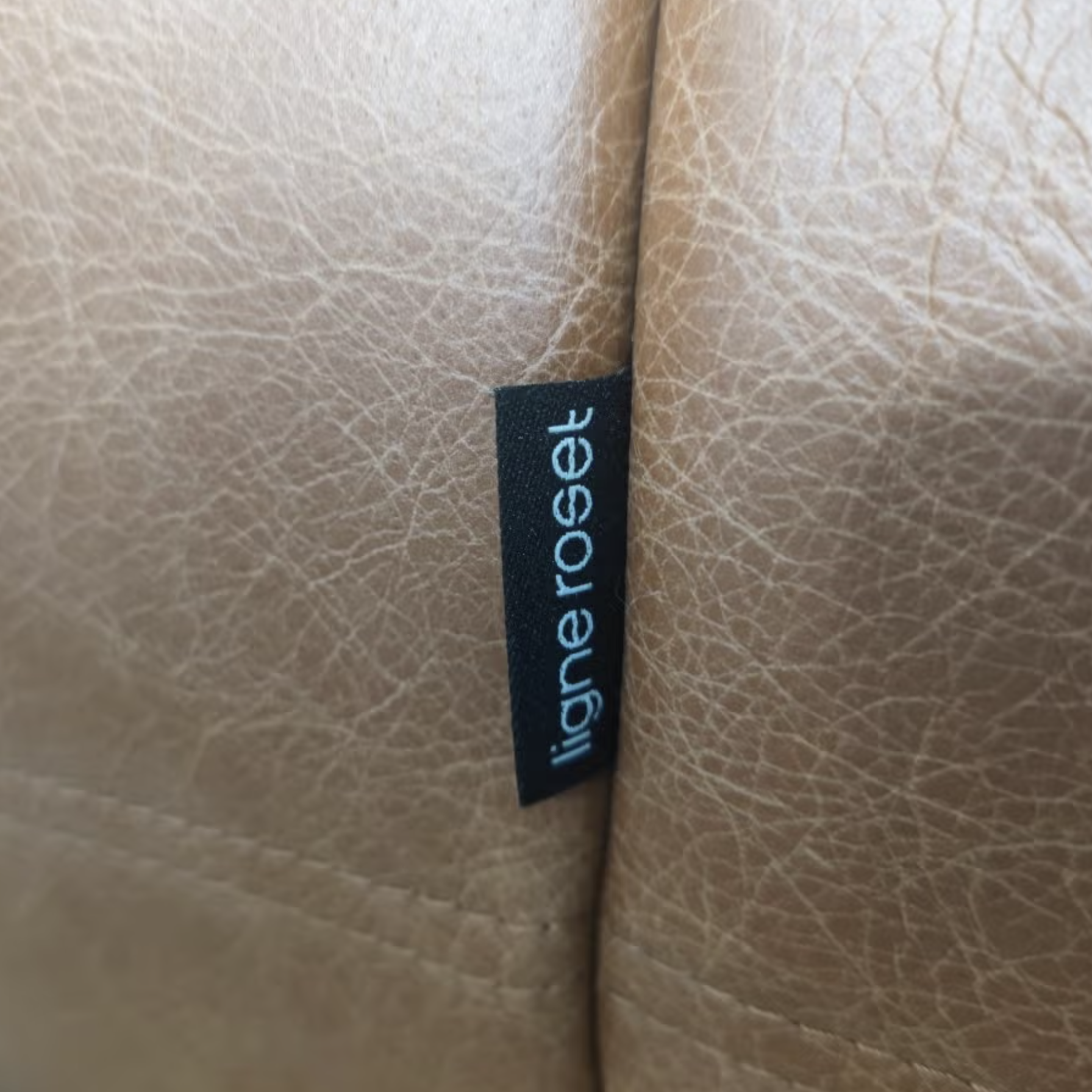 Ligne Roset Togo 2-Seater Sofa – Cognac Leather