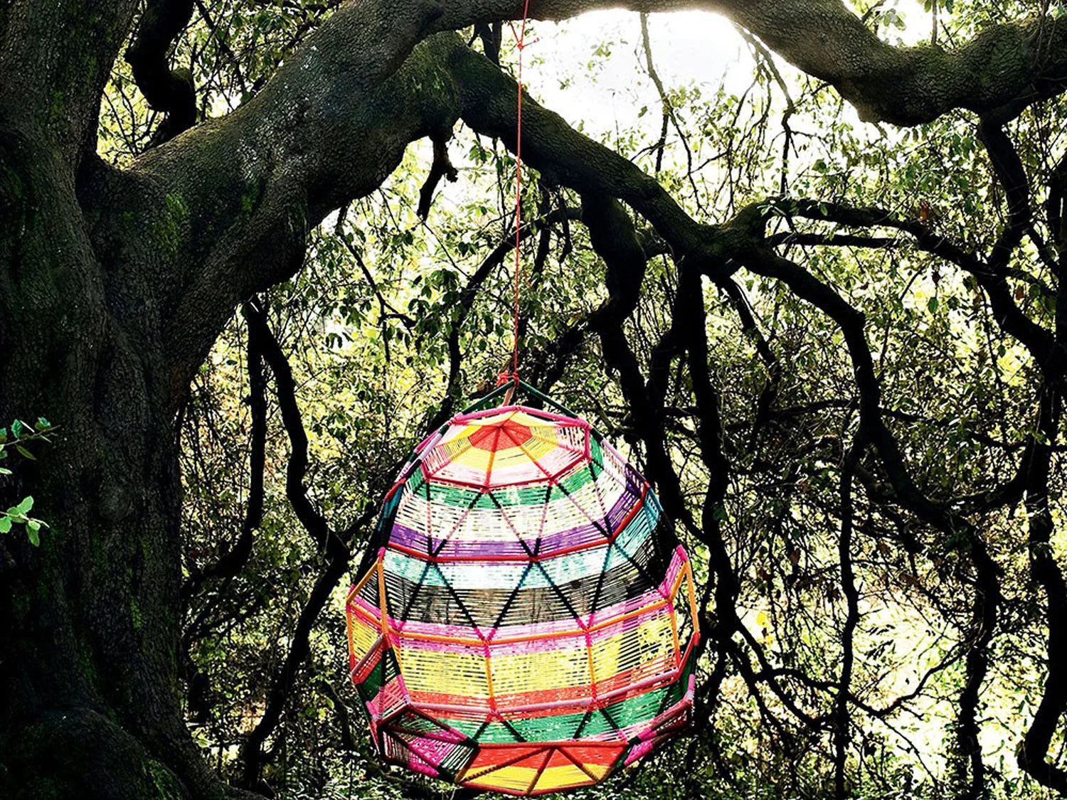 Moroso Tropicalia Cocoon Chair