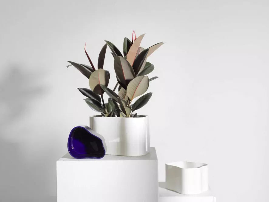 Artek Riihitie B planter small